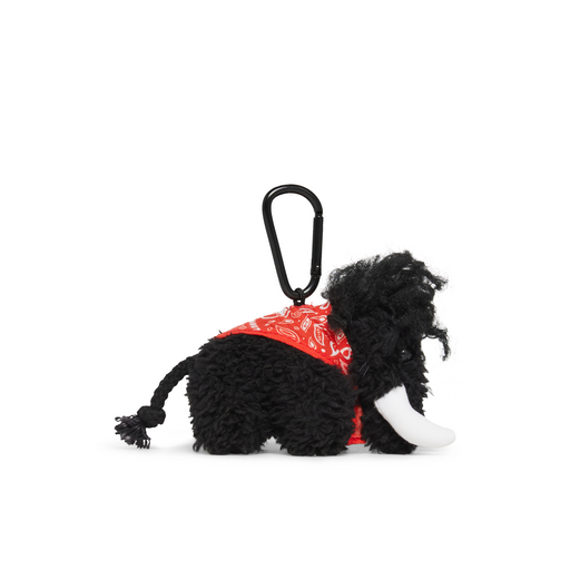 Valley Keyring