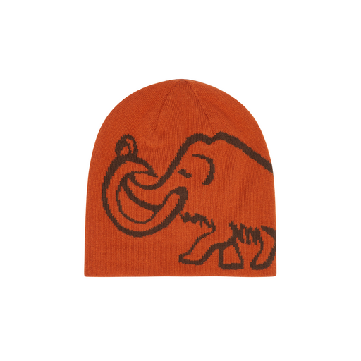 Logo Beanie Reversible