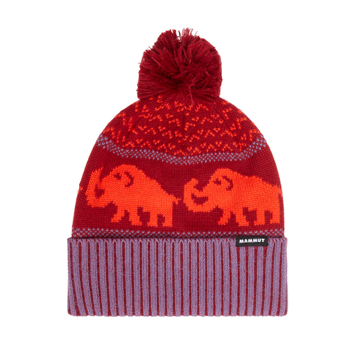 Retro Beanie