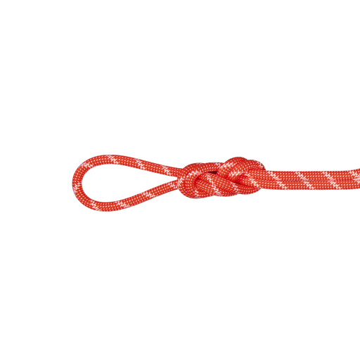 8.0 Alpine Classic Rope 30m