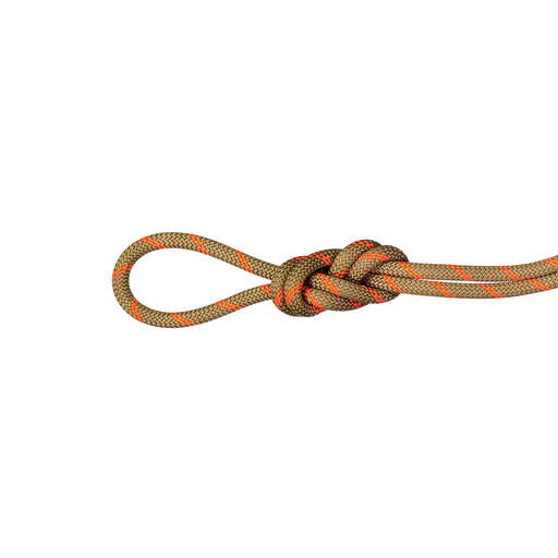 8.0 Alpine Dry Rope 30m