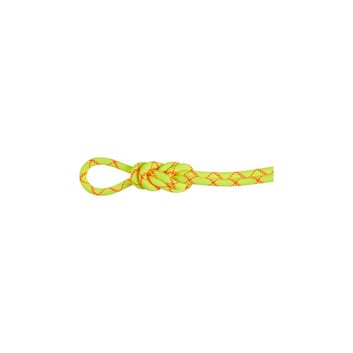 9.5 Alpine Core Protect Dry Rope 30m