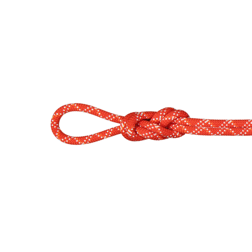 9.5 Crag Classic Rope 60m | Mammut