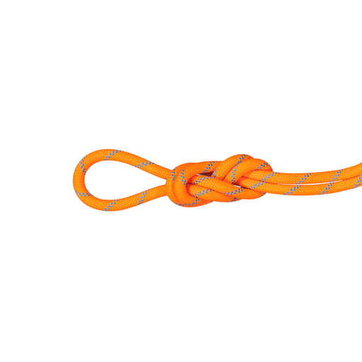 8.7 Alpine Sender Dry Rope 40m
