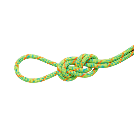 8.0 Alpine Dry Rope 30m