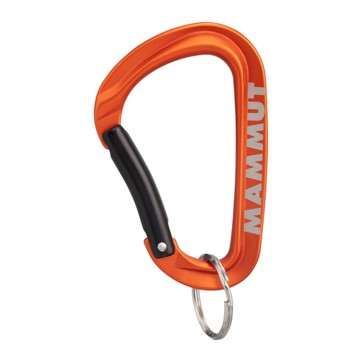 小物 GARNI Carabiner L 06251731_558bbc7ca1e2b.jpg