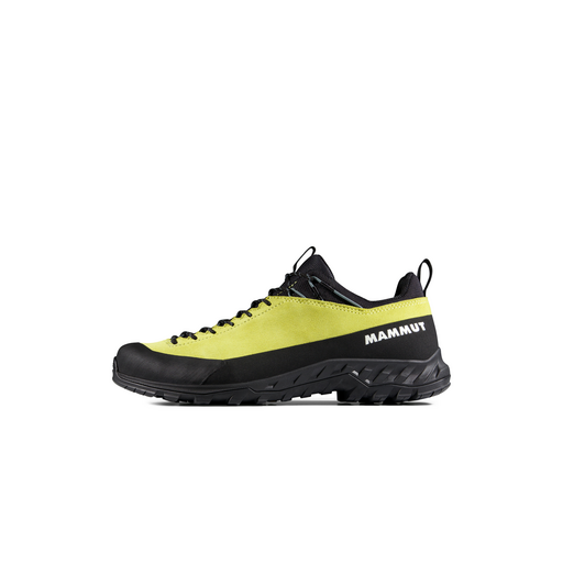 ニュートラルワークス ミトン Alnasca IV Low LTH Men | Mammut