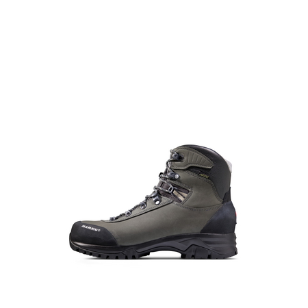 Hiking Shoes for Men | Mammut® Online 