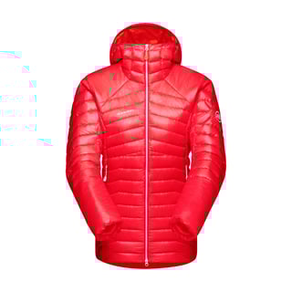 1013-01670-3637_main_139622.jpg