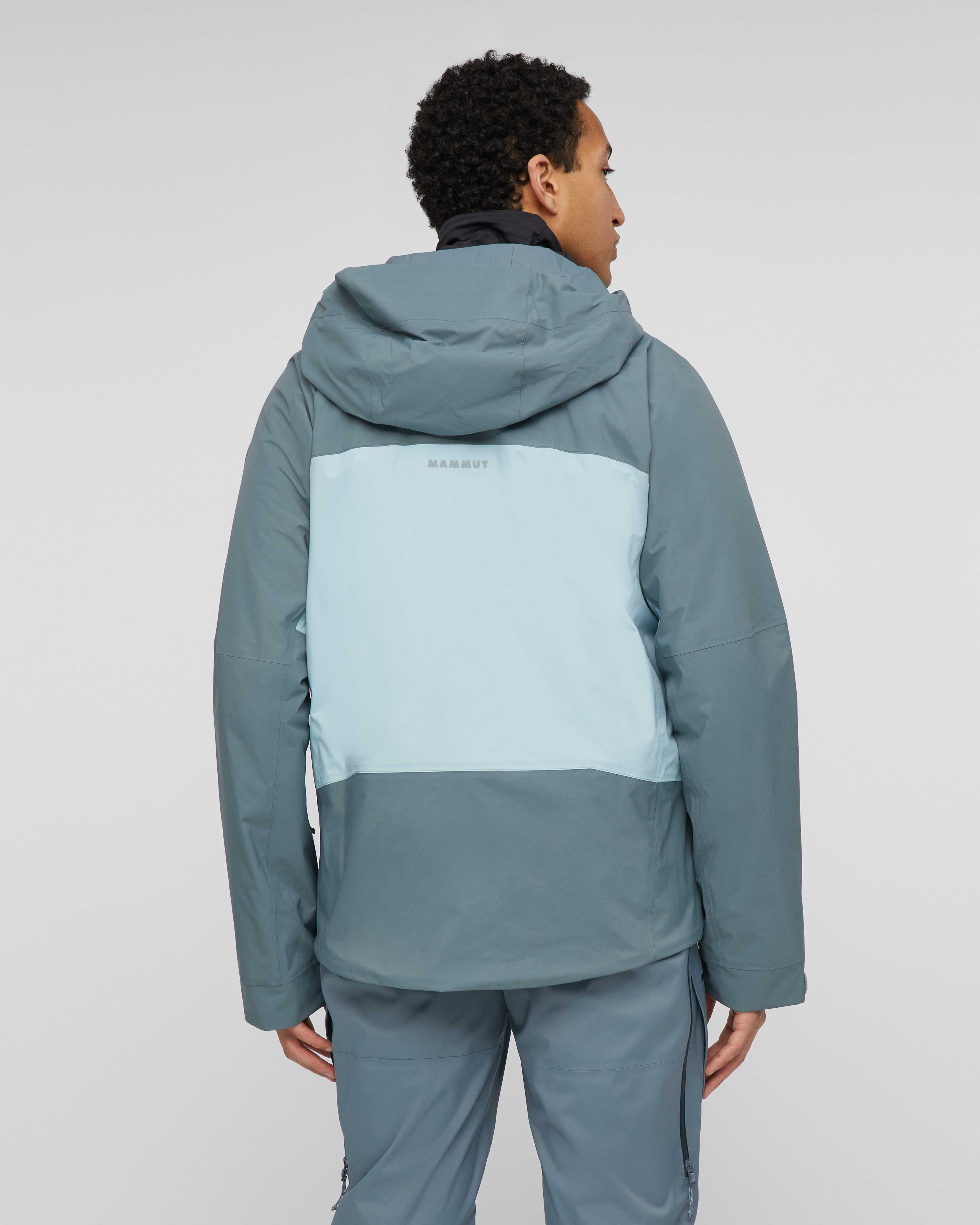 Mammut Haldigrat GTX HS Thermo Hooded Jacket Men, nebla-strata - Nebla-strata - Model back view