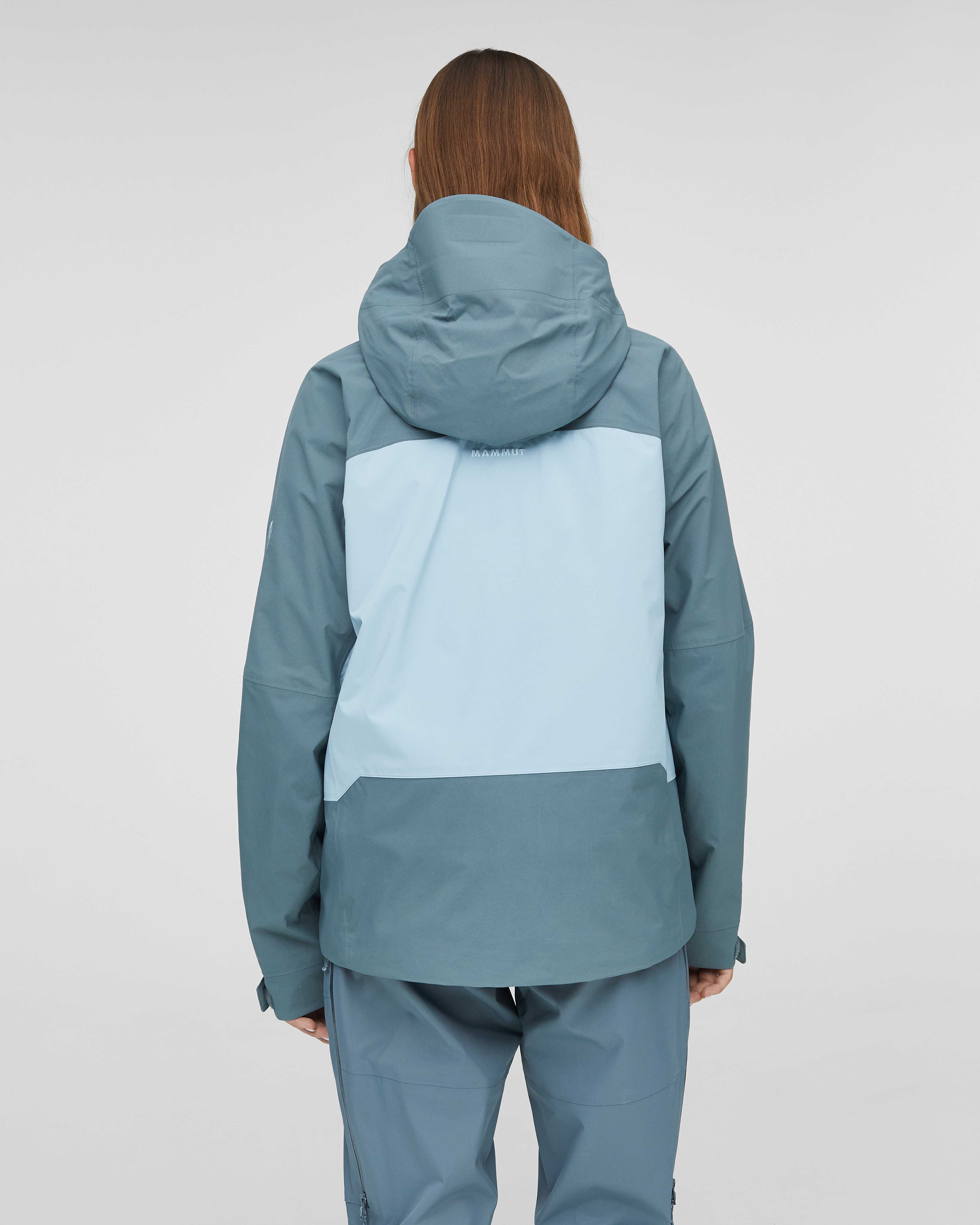 Mammut Haldigrat GTX HS Thermo Hooded Jacket Women, nebla-strata - Nebla-strata - Model back view