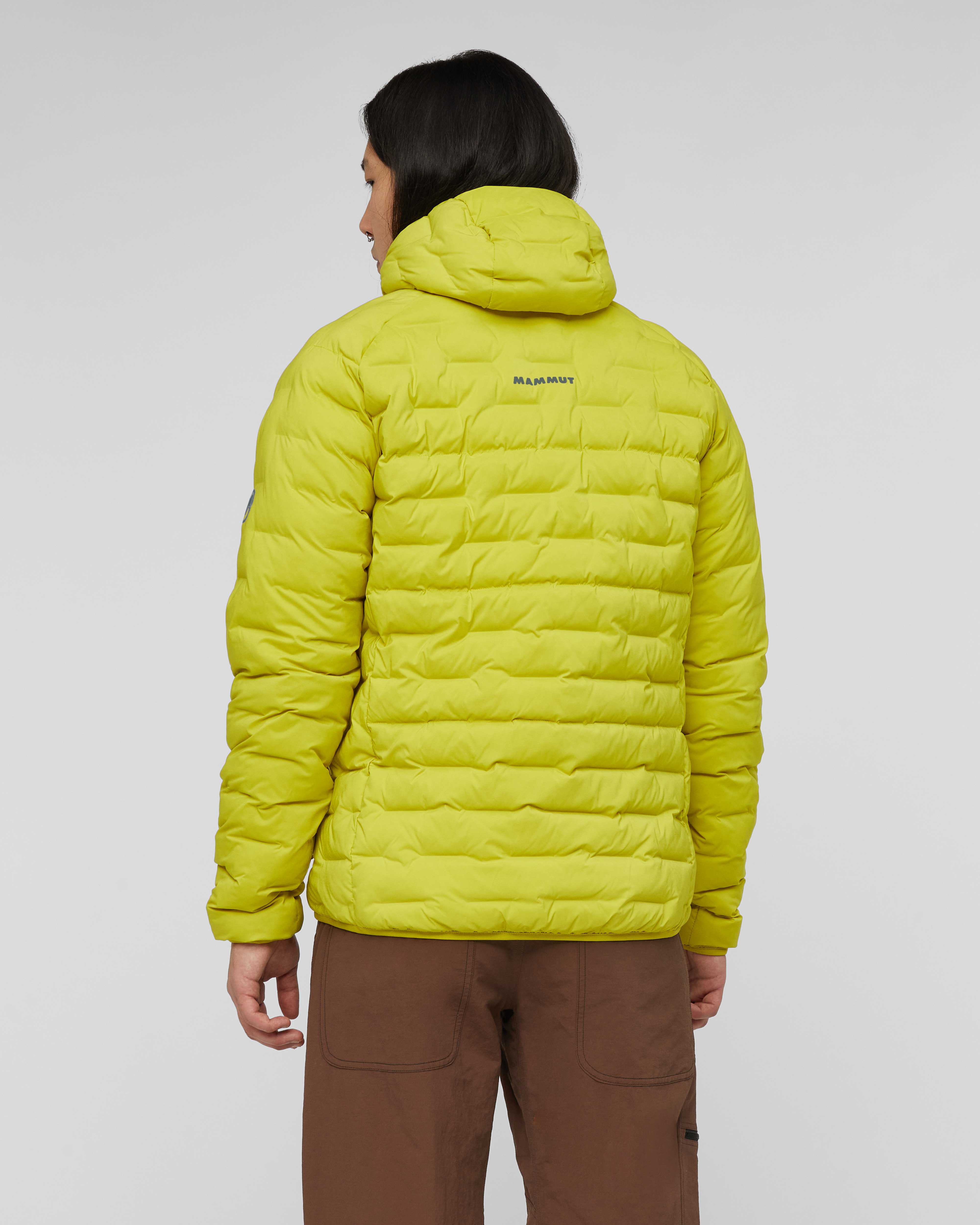 Mammut Sender IN Hooded Jacket Men, acacia - Acacia - Model back view