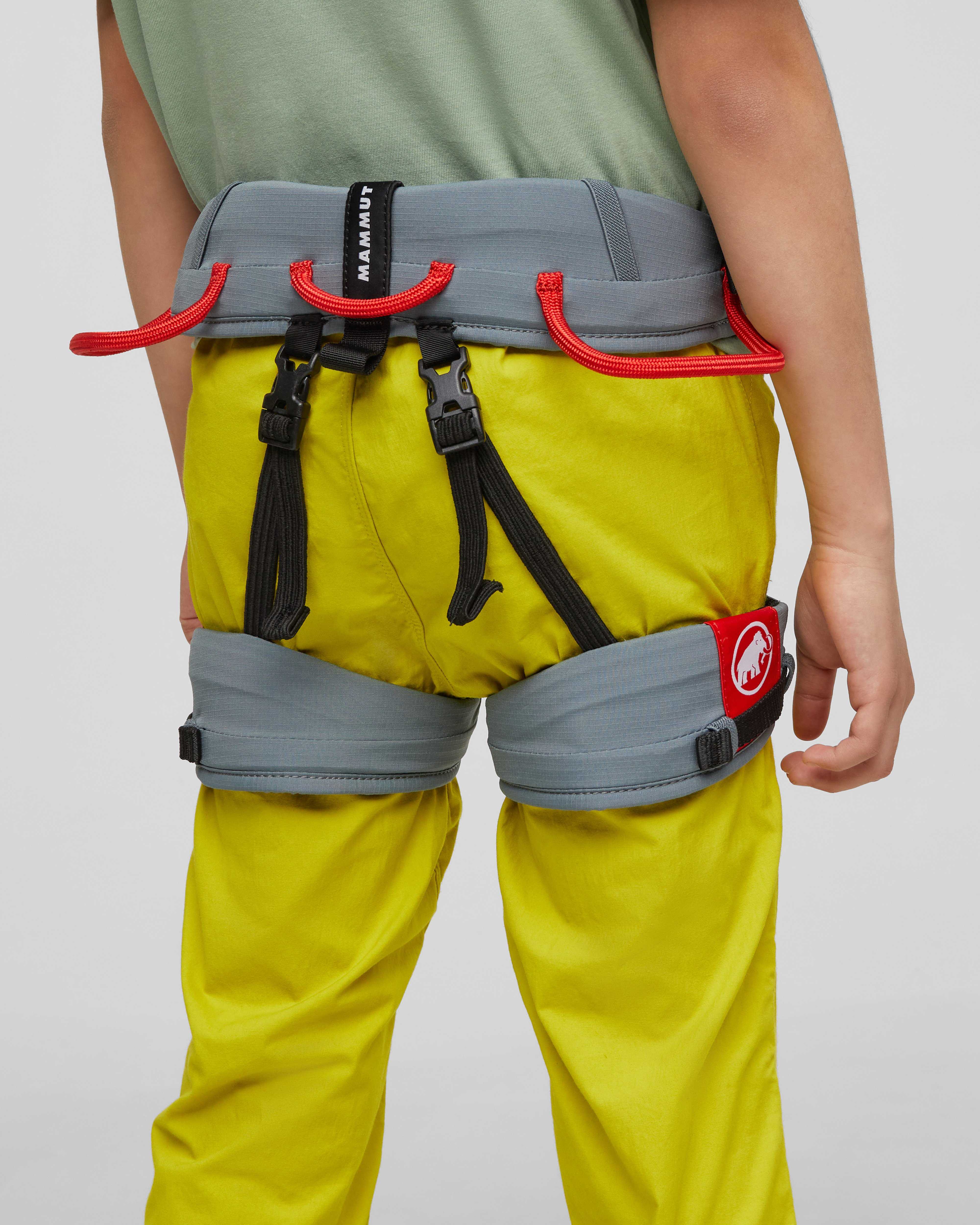Mammut Ophir Kids 2.0 Harness, strata-mammut red - Strata-mammut red - Outdoor view