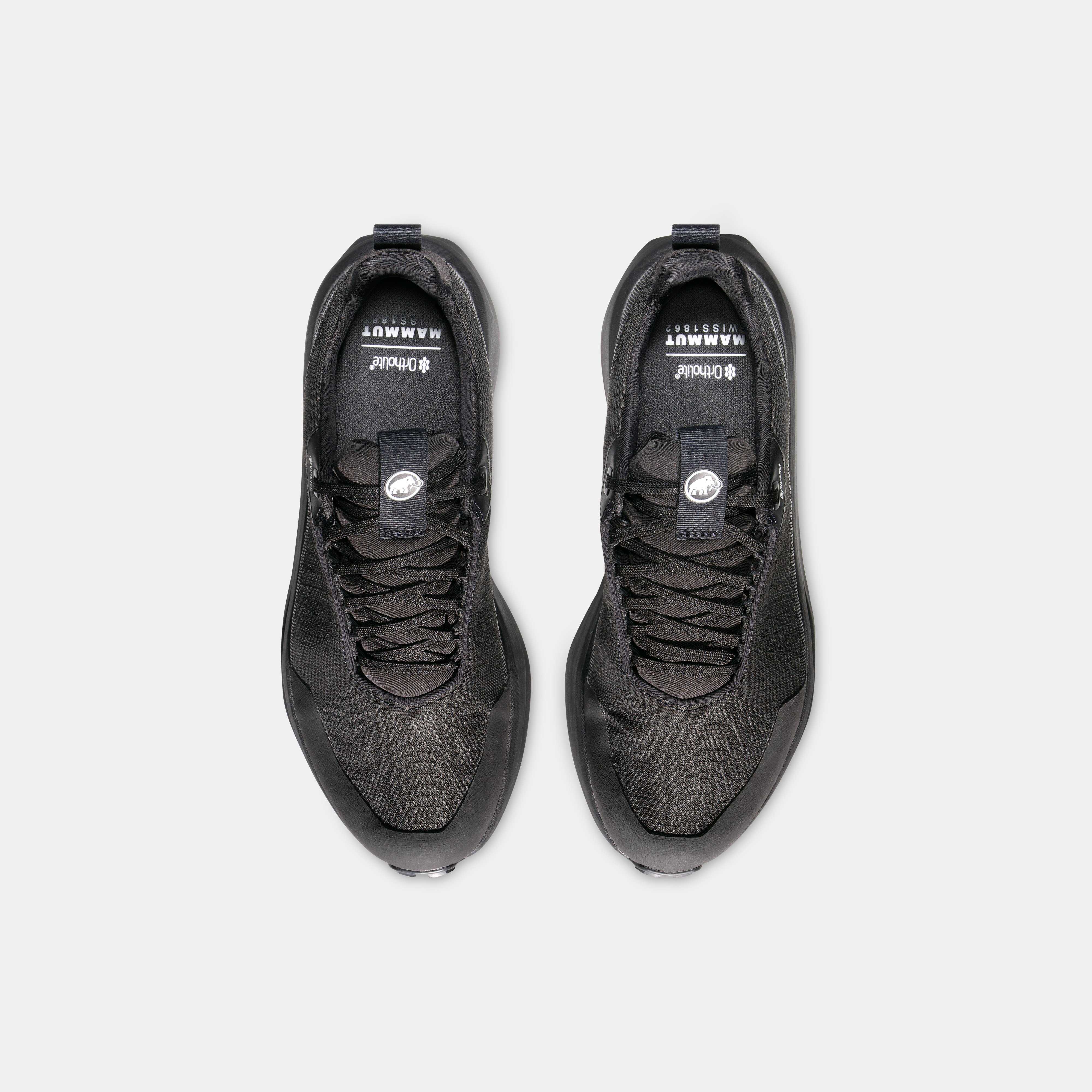Mammut Aenergy Mtn Low GTX Men, iguana-black - Iguana-black