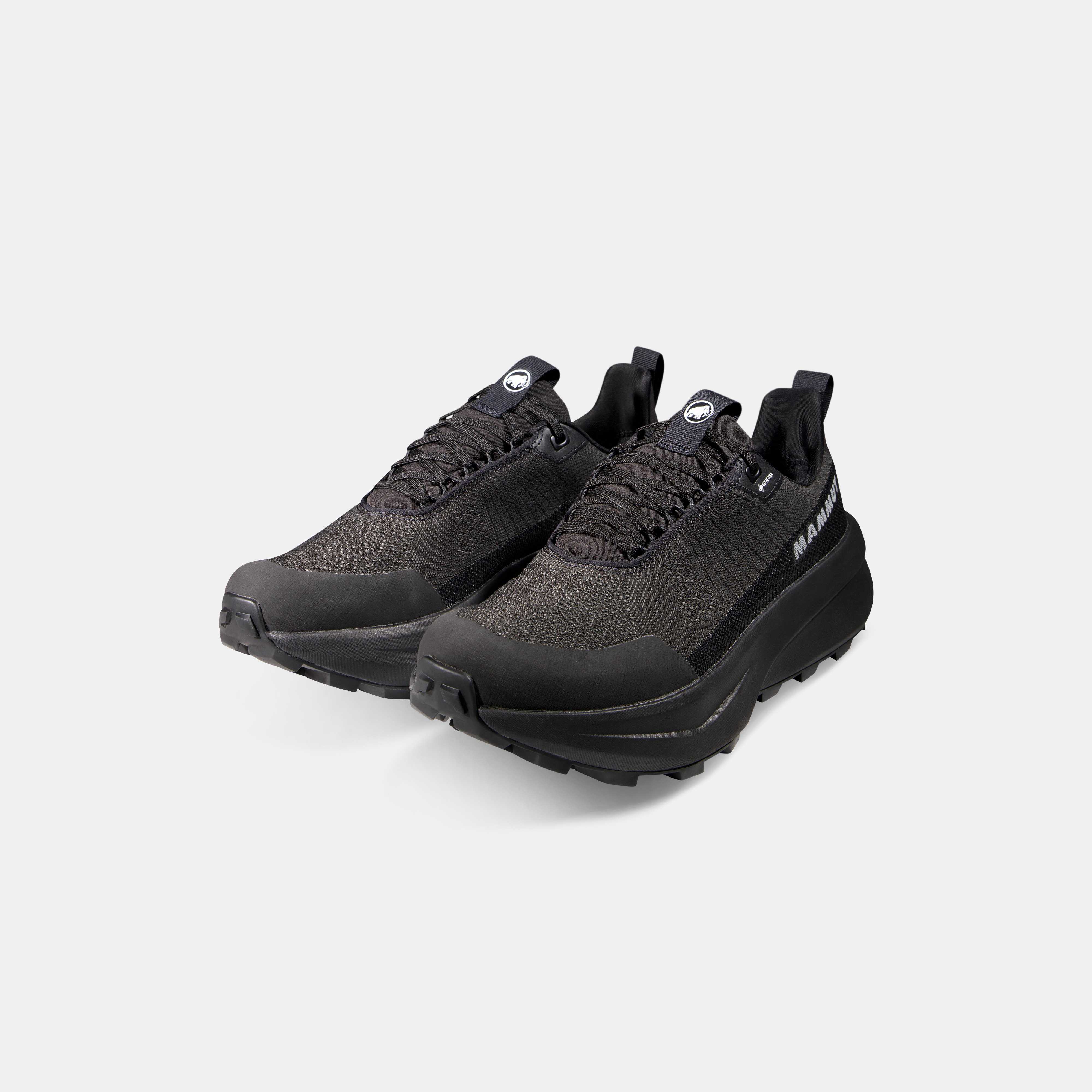 Mammut Aenergy Mtn Low GTX Men, iguana-black - Iguana-black