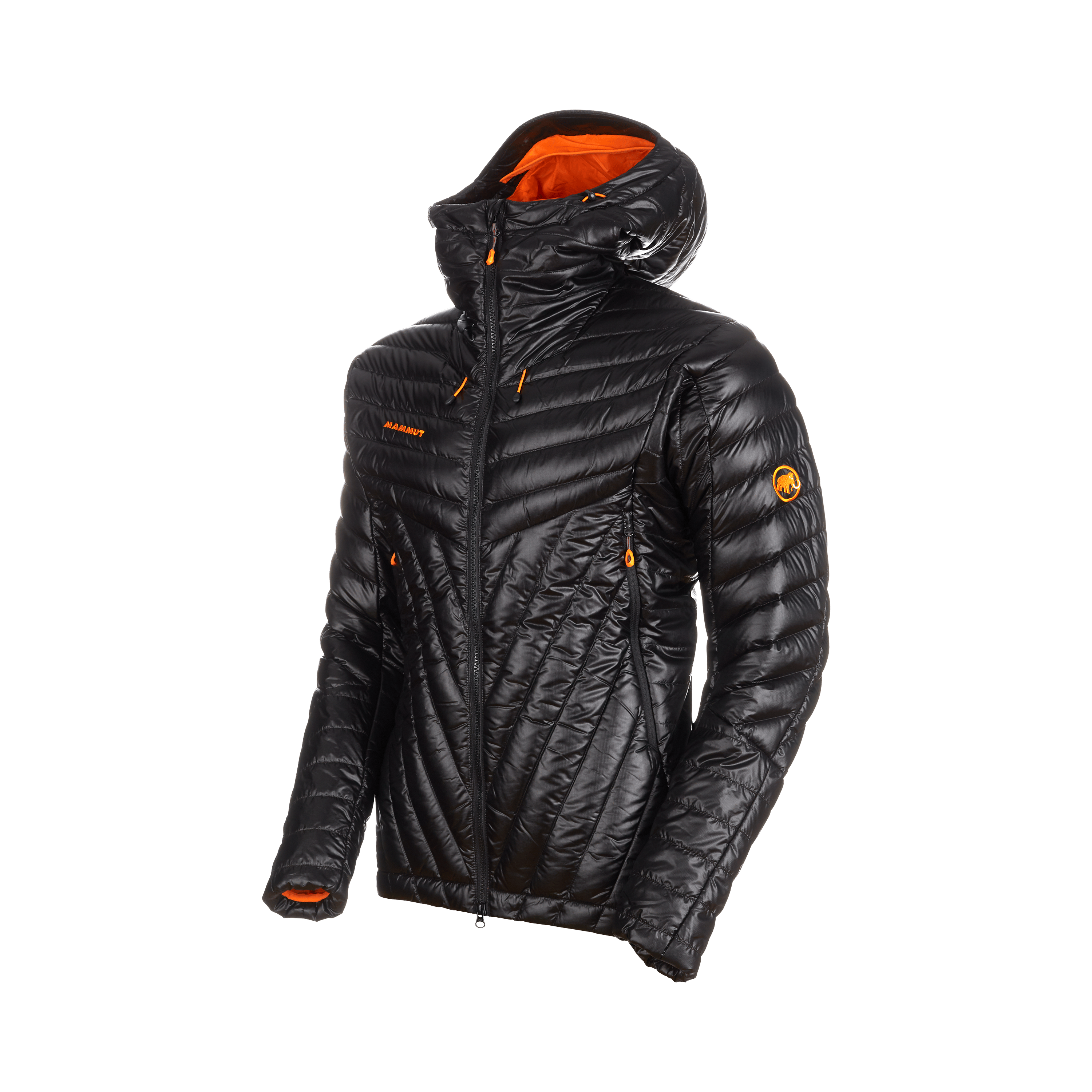 Eigerjoch Advanced IN Hooded Jacket Men