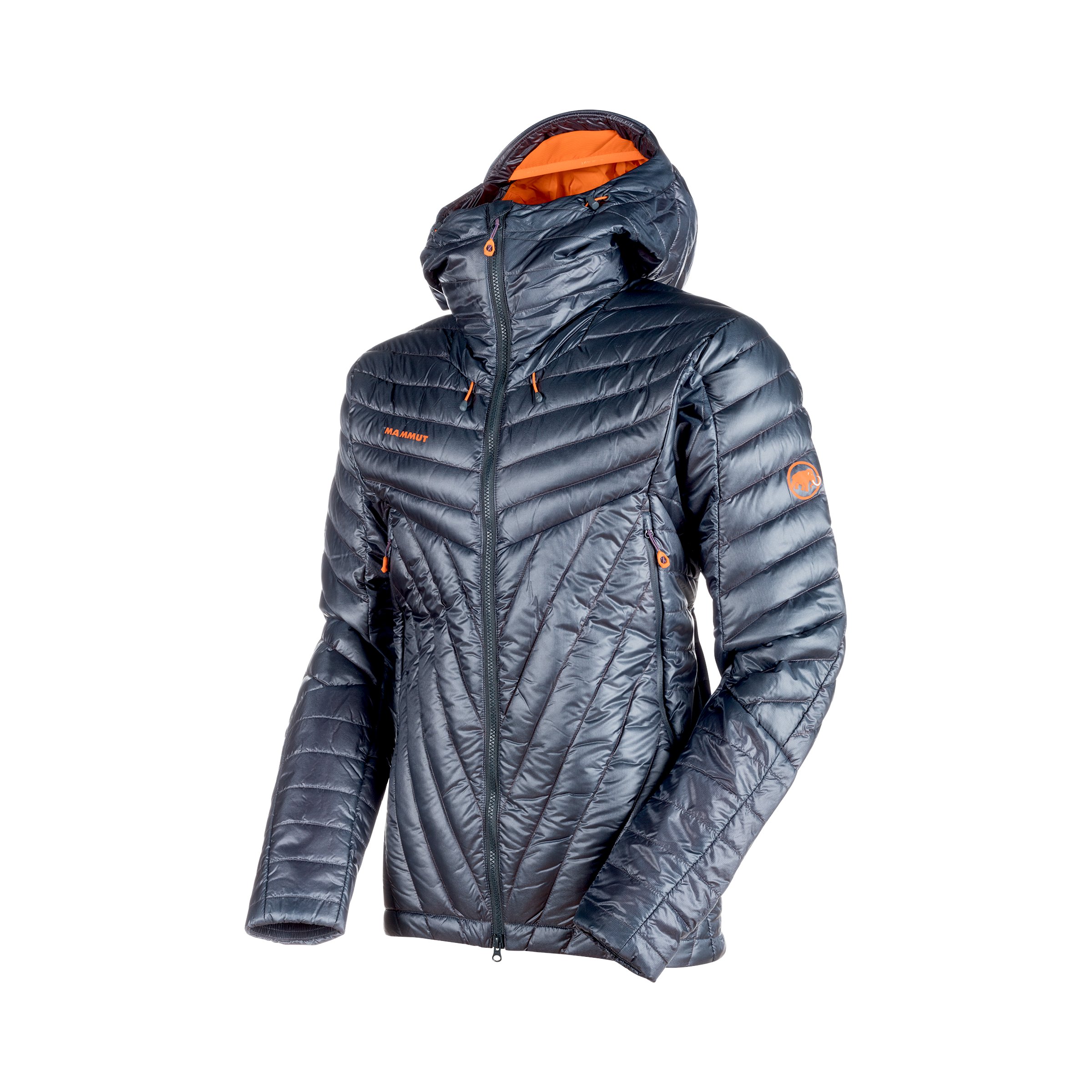 Mammut Eigerjoch Advanced IN Hooded Jacket Men - Black/Marble/Glacier/Storm/Sunrise/Ice/Night