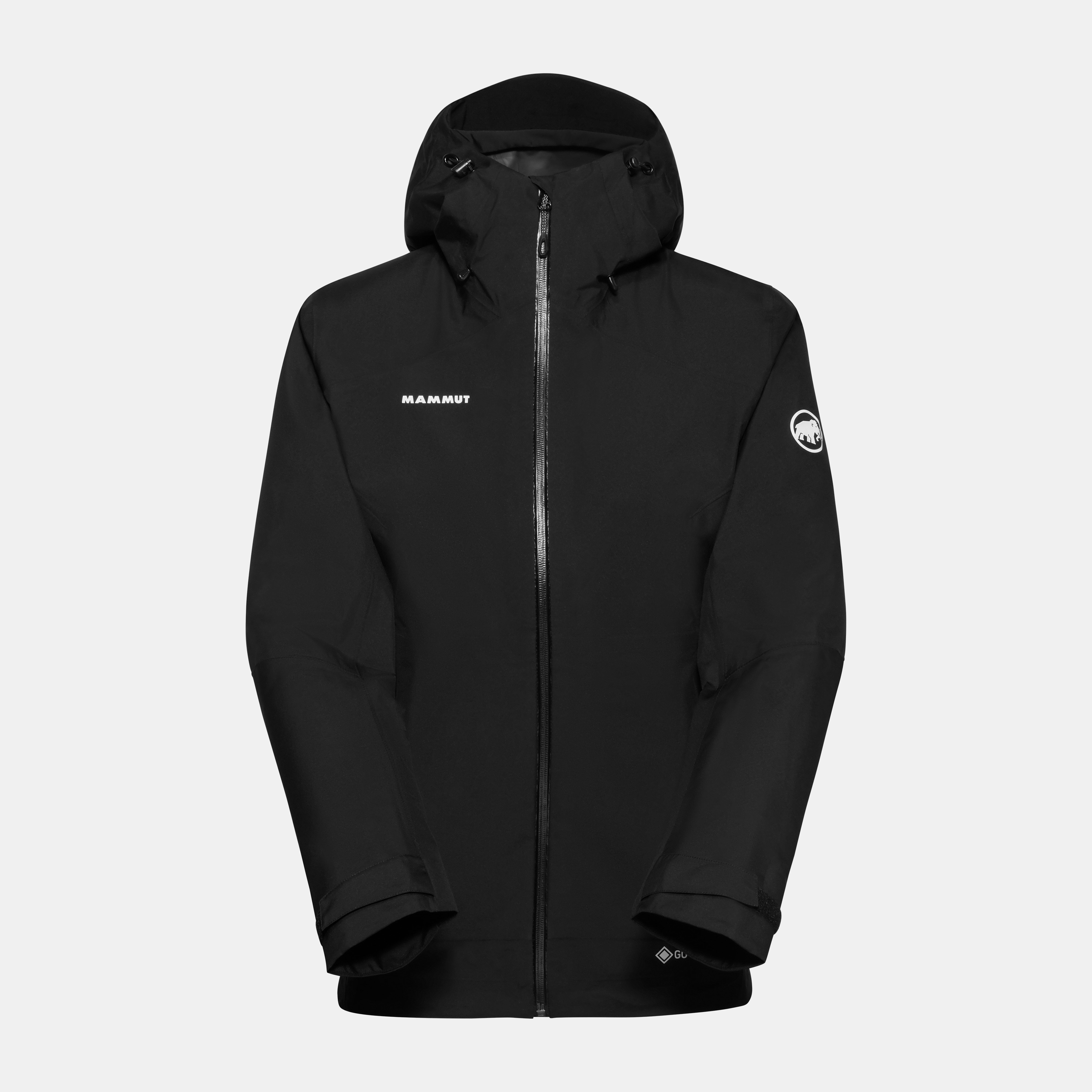 マムート GORE-TEX PRO Meron HS Hooded Jacket Mammut Meron HS Hooded Jacket - Men's - Clothing