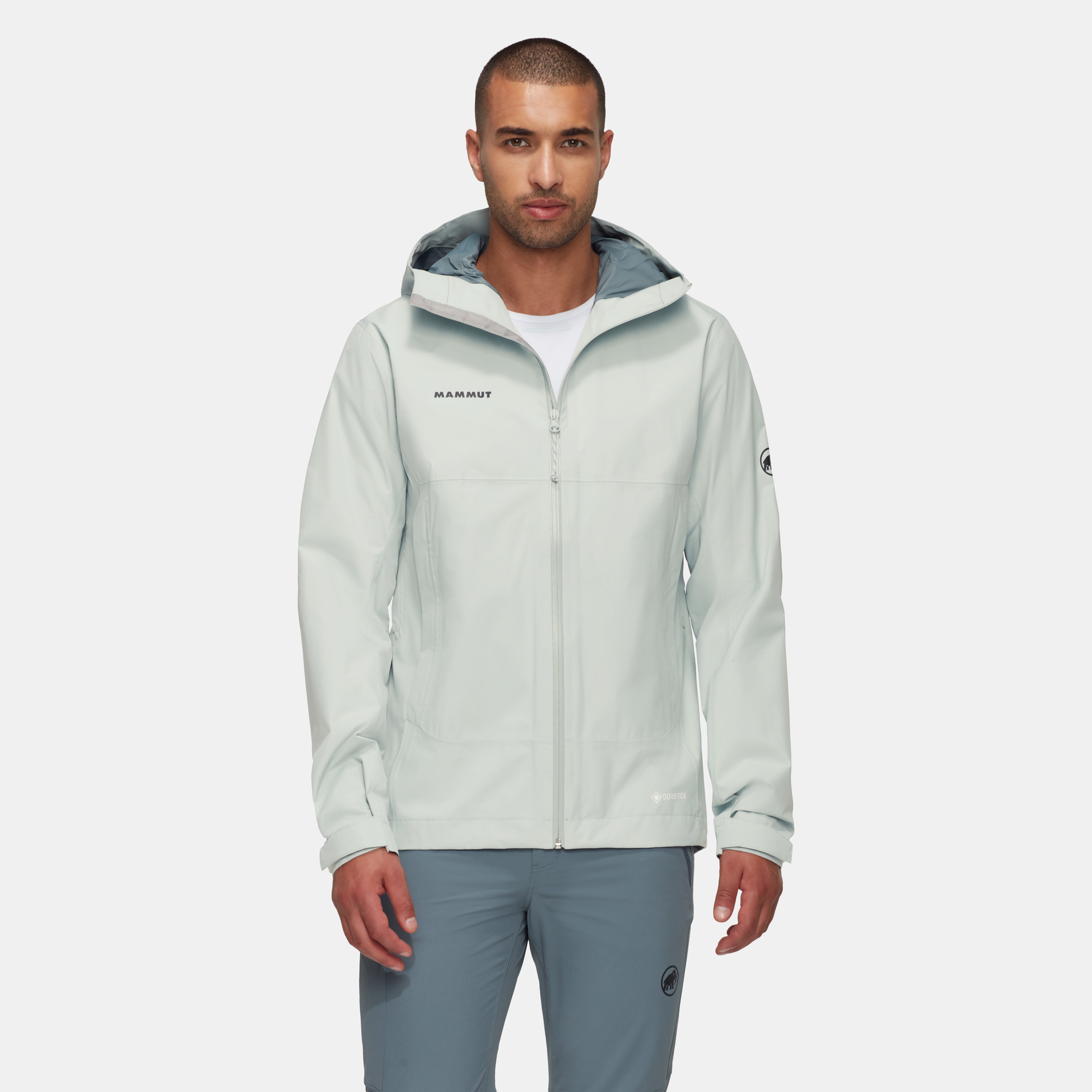 Mammut Treeline HS Hooded Jacket Men, silver sage - Silver sage