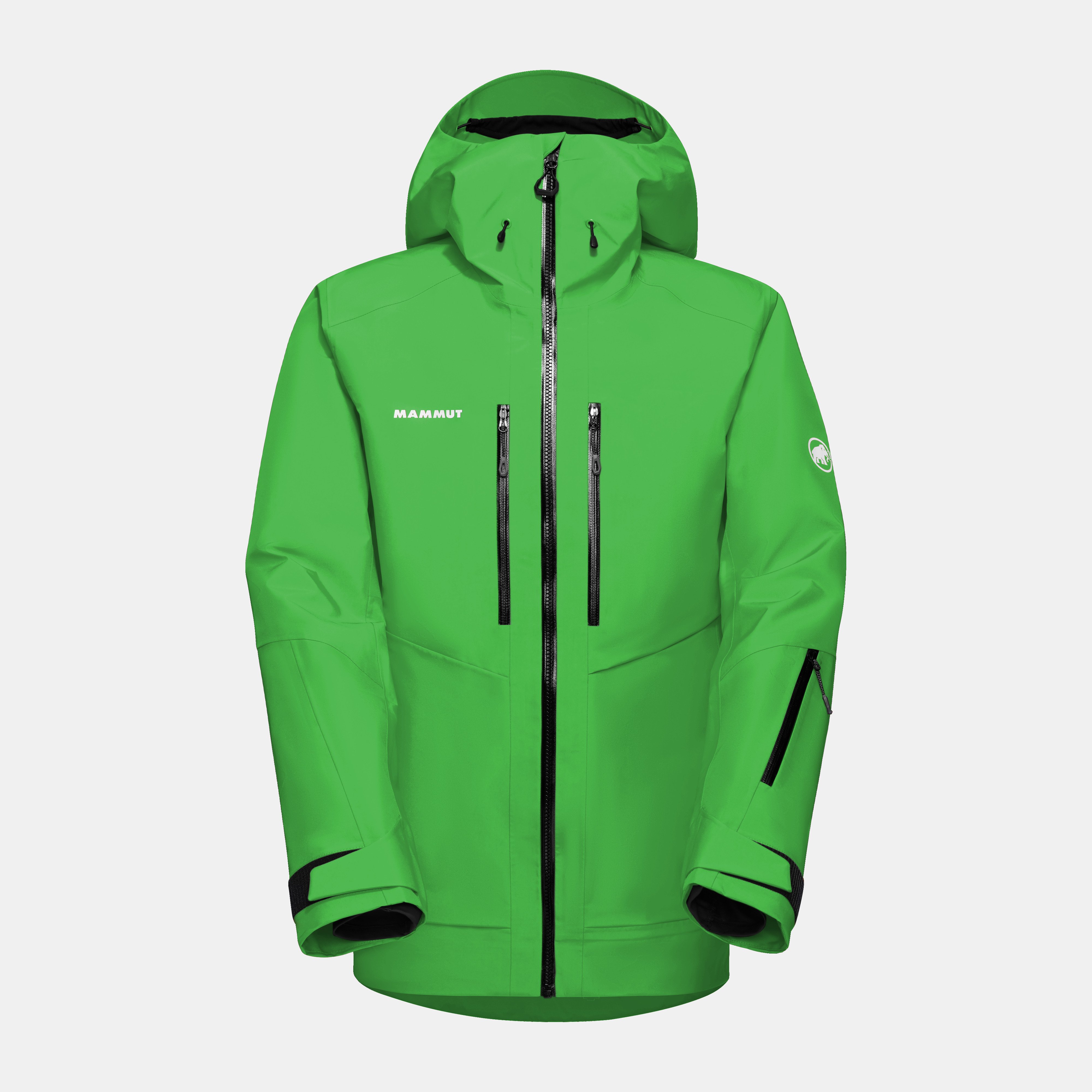 Mammut Mtn. Pro 2.0 2L GTX HS Thermo Hooded Jacket Men, dark spring - Dark spring
