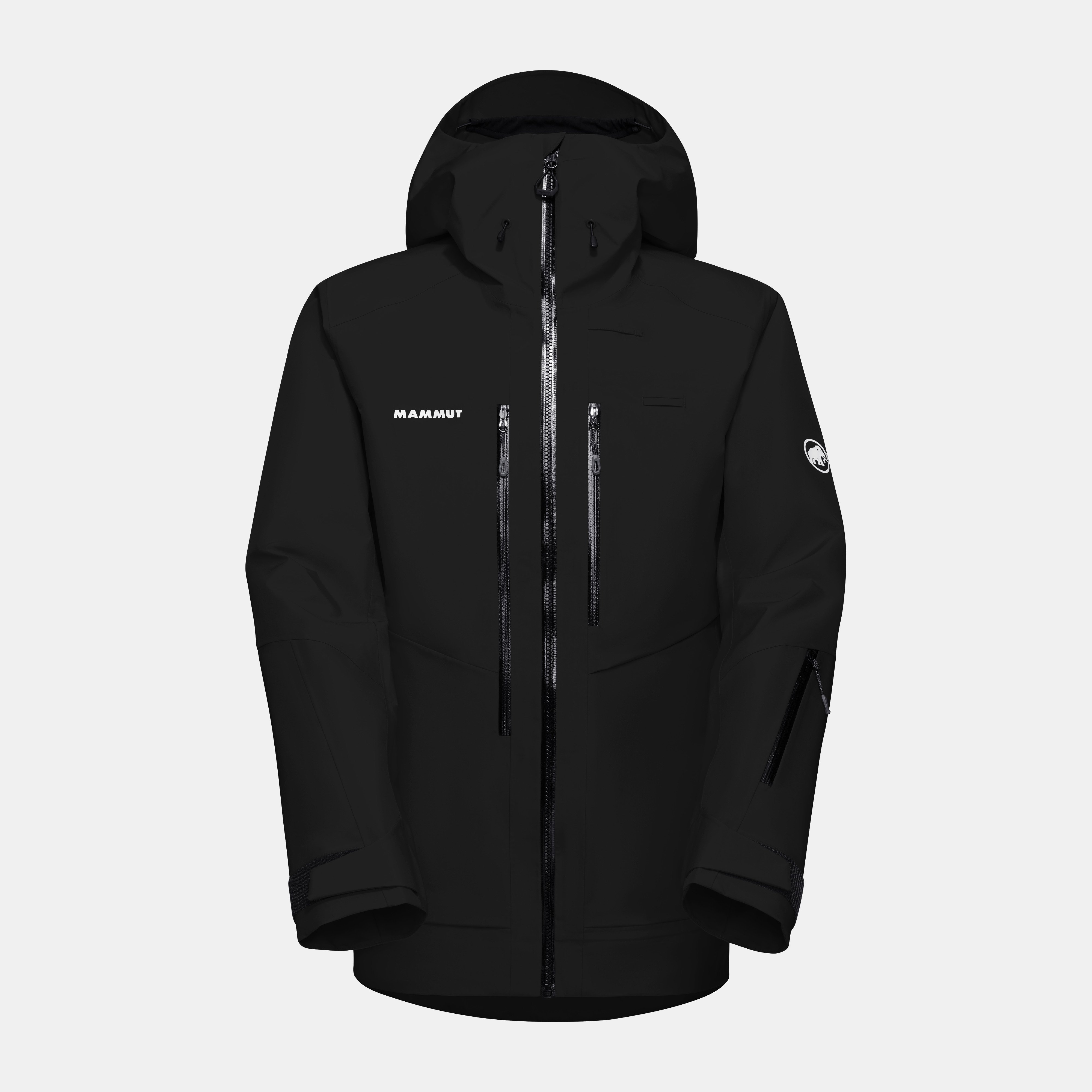 Mammut Mtn. Pro 2.0 3L GTX HS Hooded Jacket Men, black - Black
