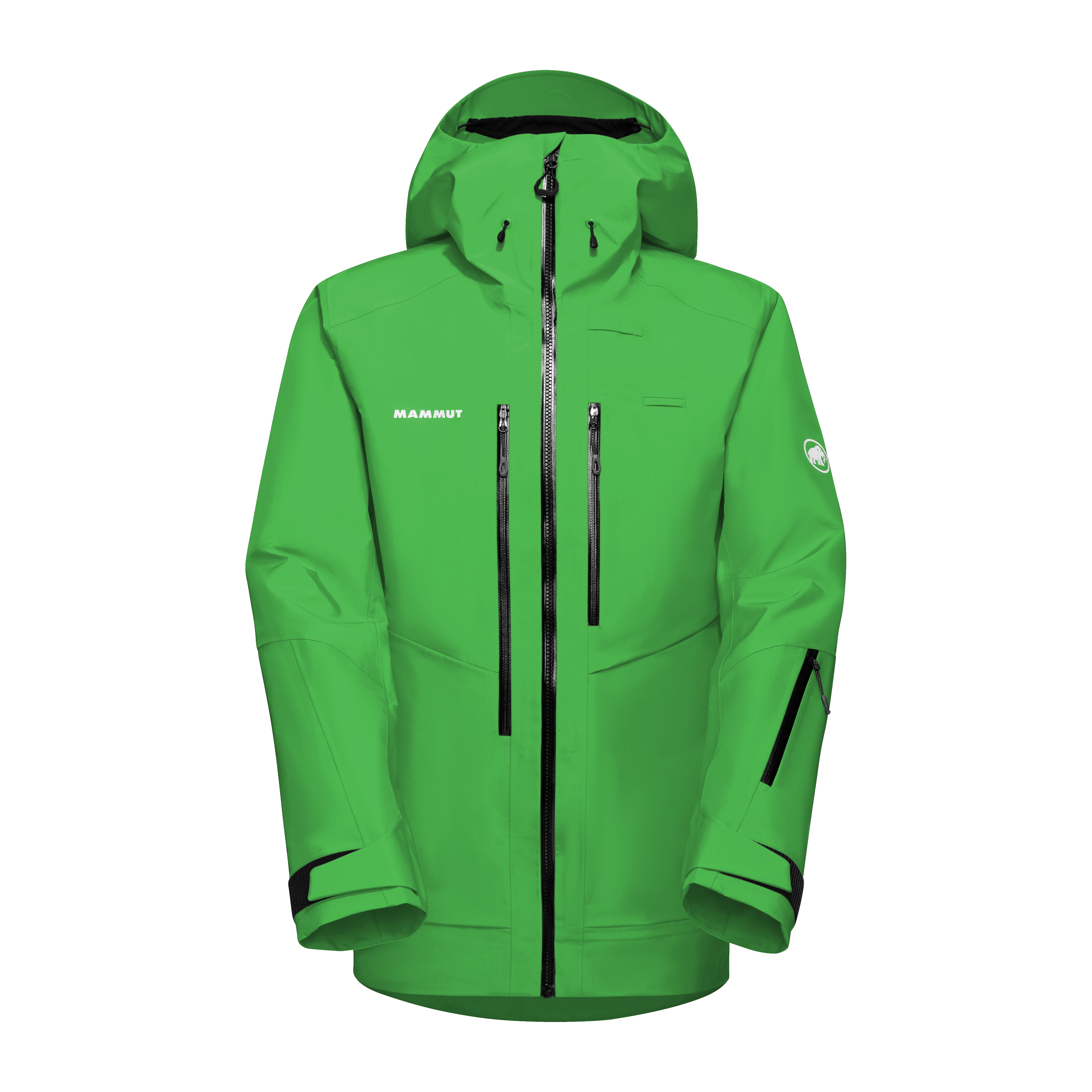 Mammut Mtn. Pro 2.0 3L GTX HS Hooded Jacket Men, dark spring - Dark spring - Thumbnail