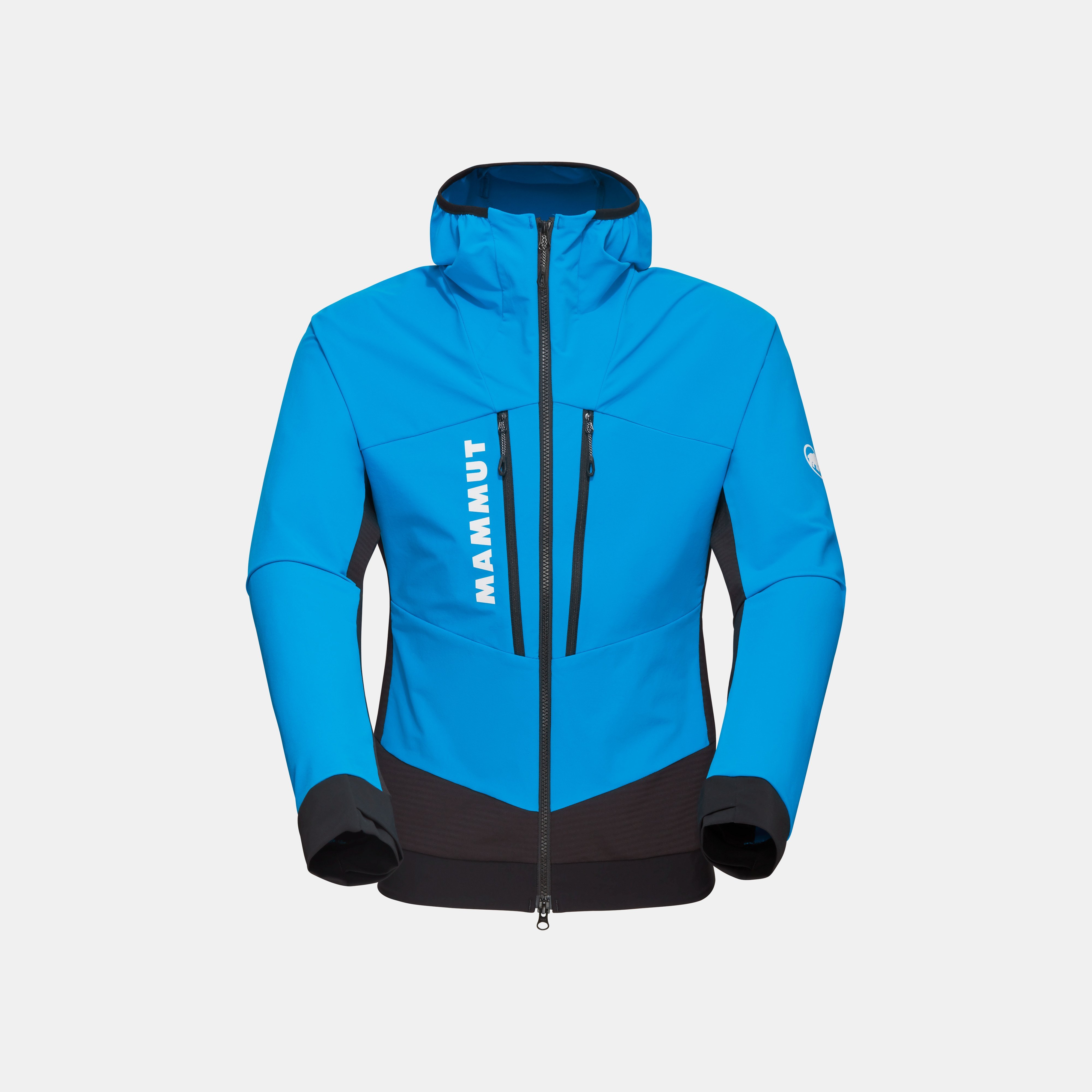 Mammut winter jacket online