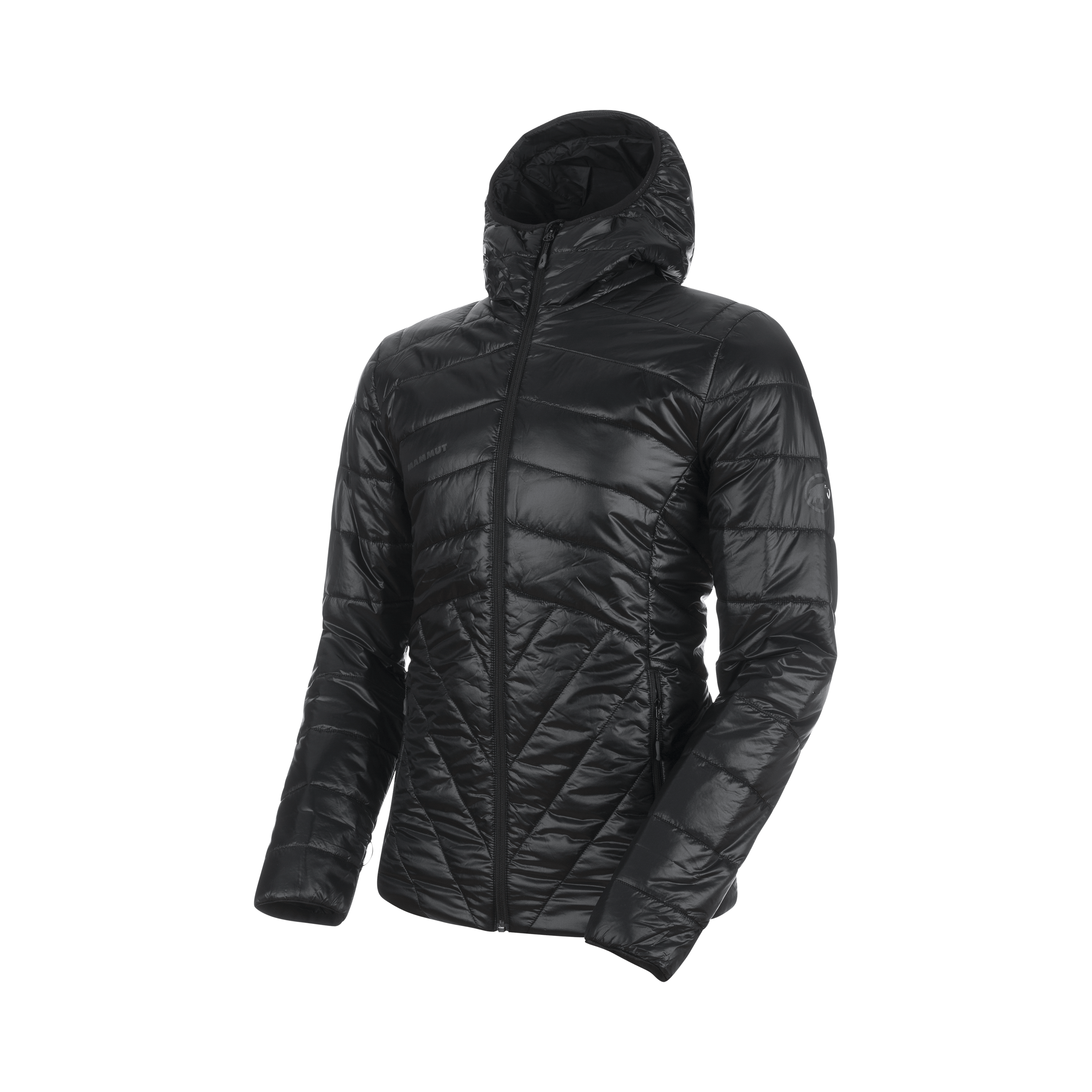 Mammut Rime IN Hooded Jacket Men - Black/Marble-phantom/Imperial-marine/Dark teal-clover