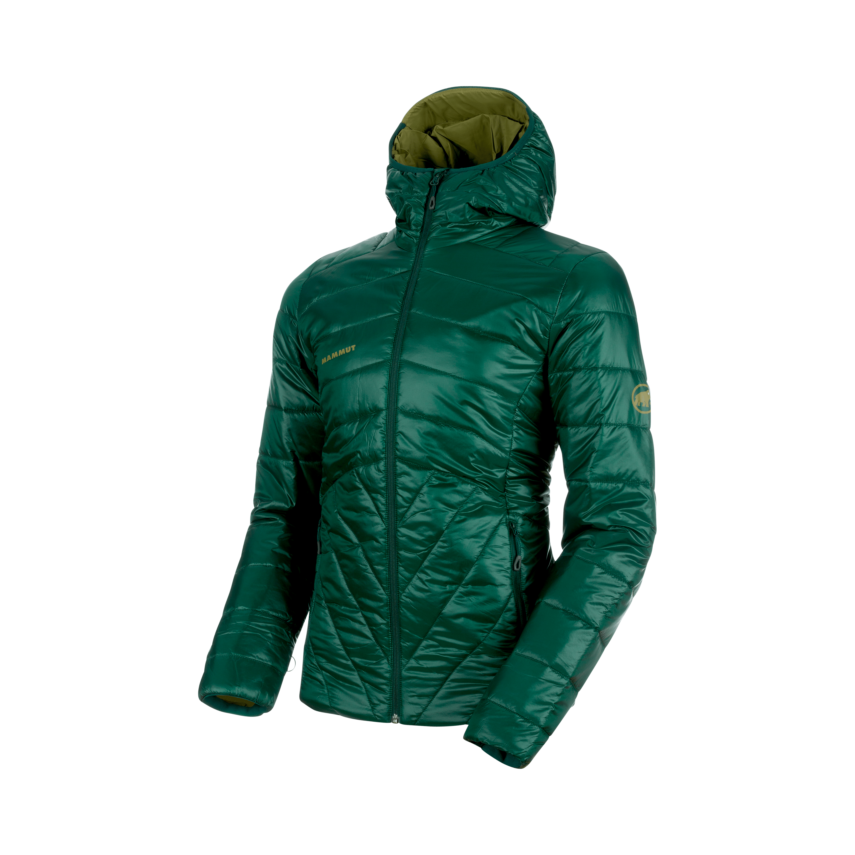 Mammut Rime IN Hooded Jacket Men - Black/Marble-phantom/Imperial-marine/Dark teal-clover