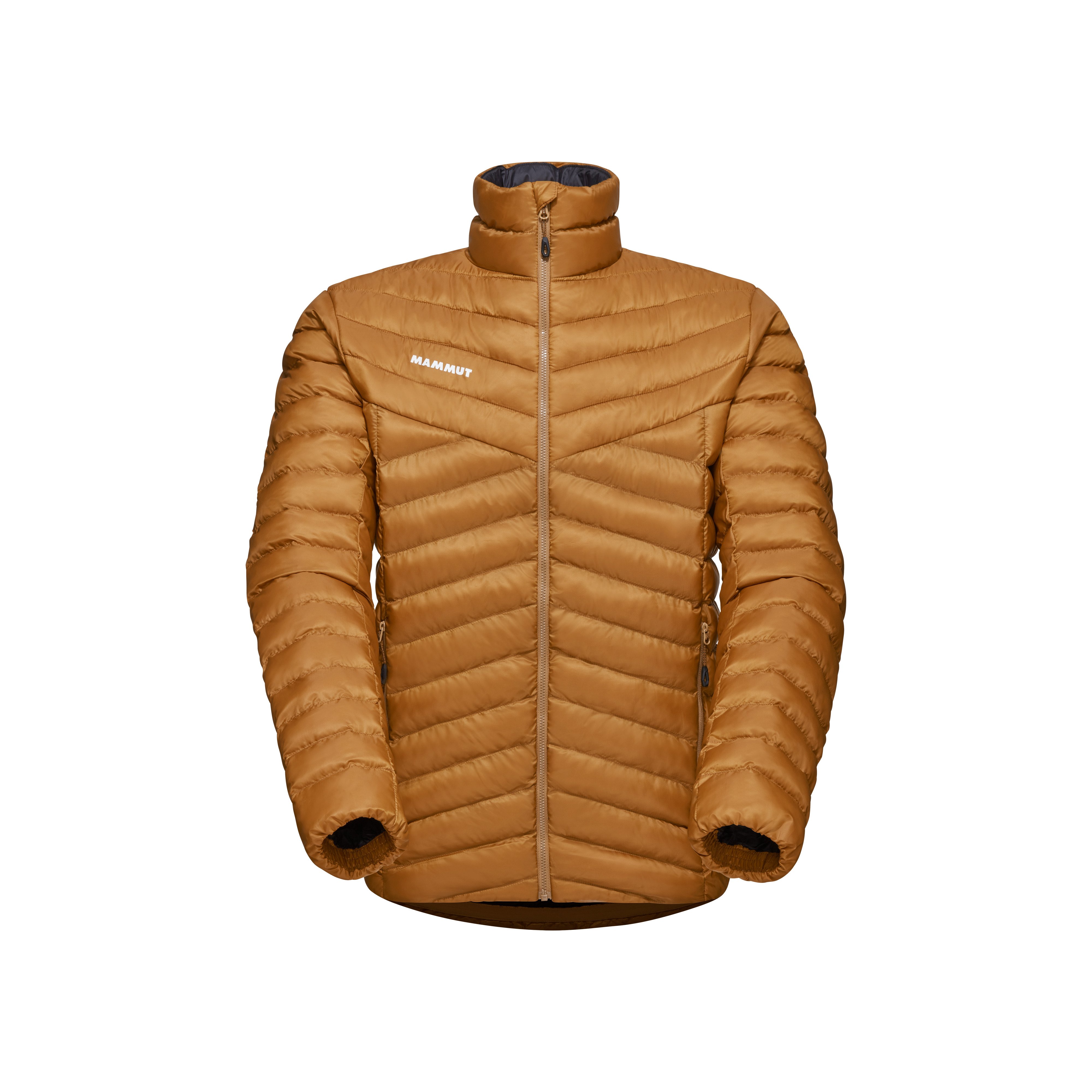 Albula IN Jacket Men - cheetah, M product image