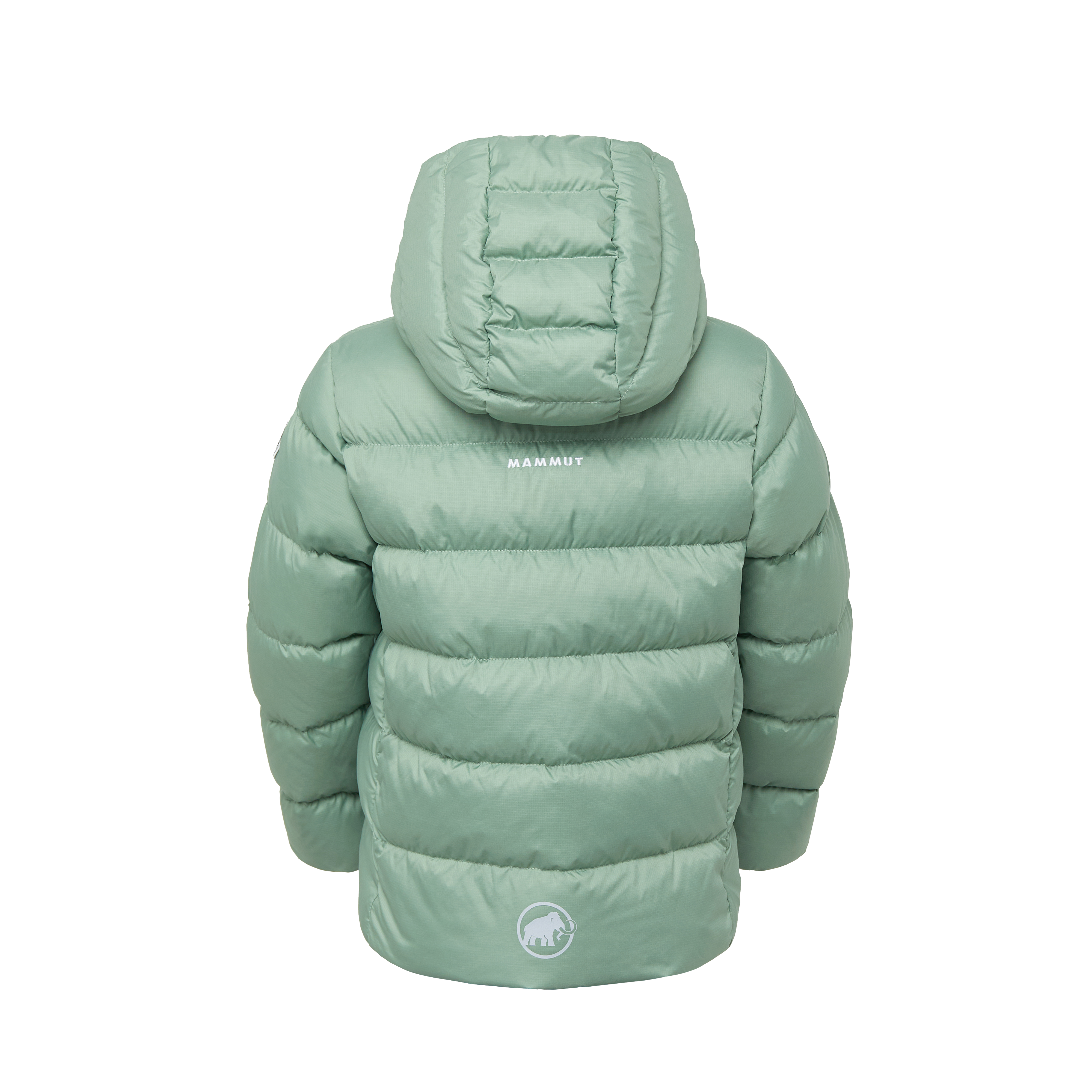 Mammut Waymarker IN Hooded Jacket Kids, willow - Willow