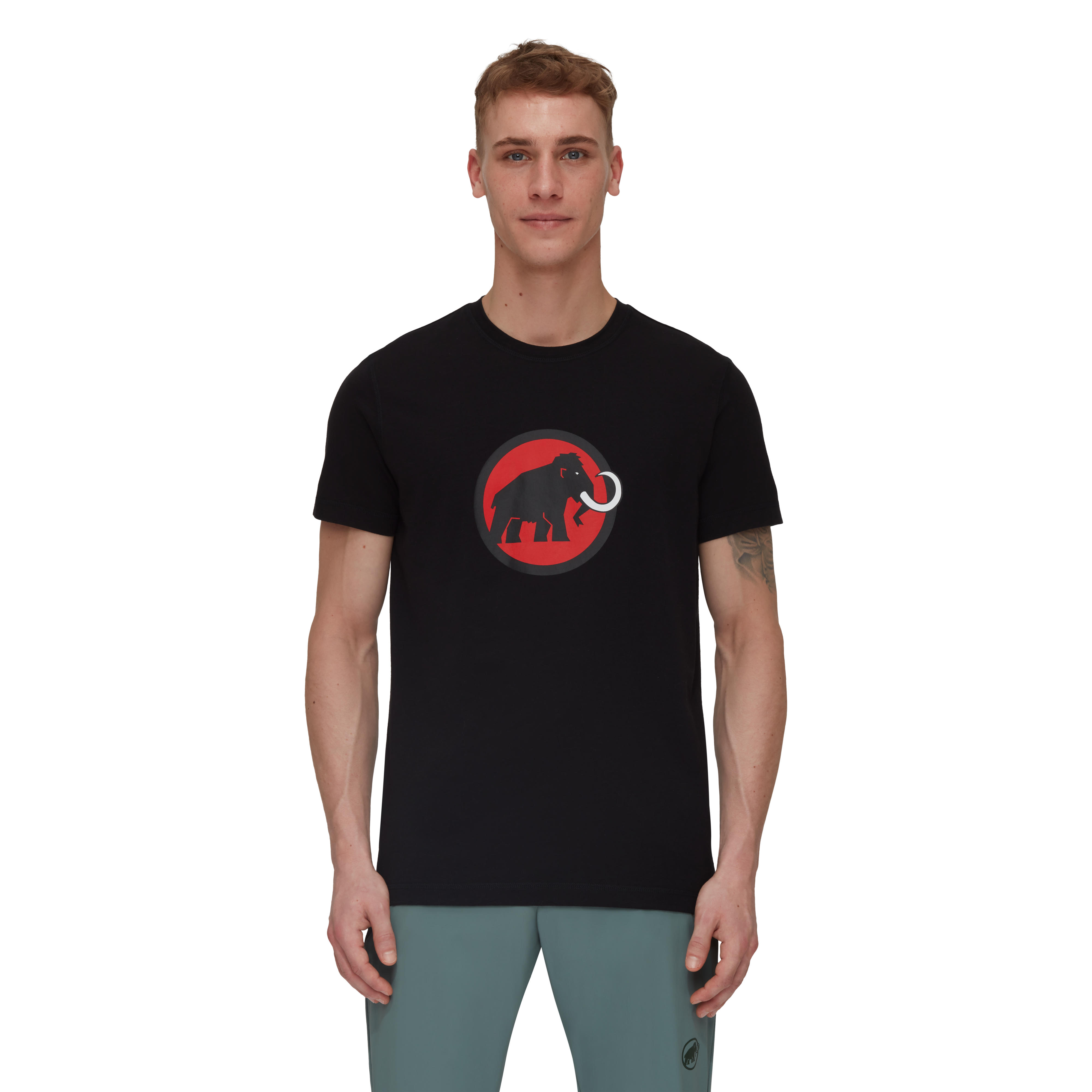 Tee shirt best sale mammut homme