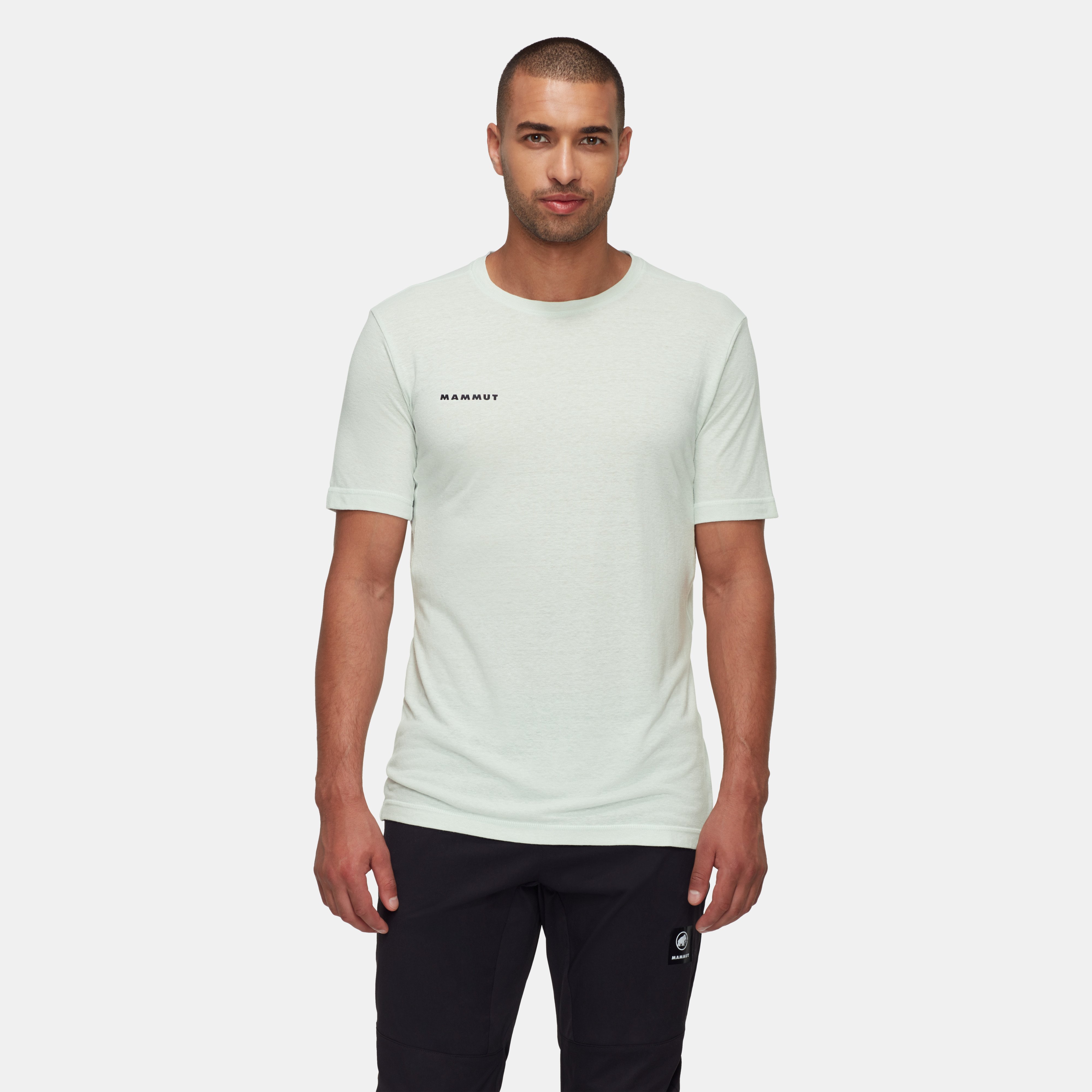 Mammut Massone Light T-Shirt Men, silver sage - Silver sage