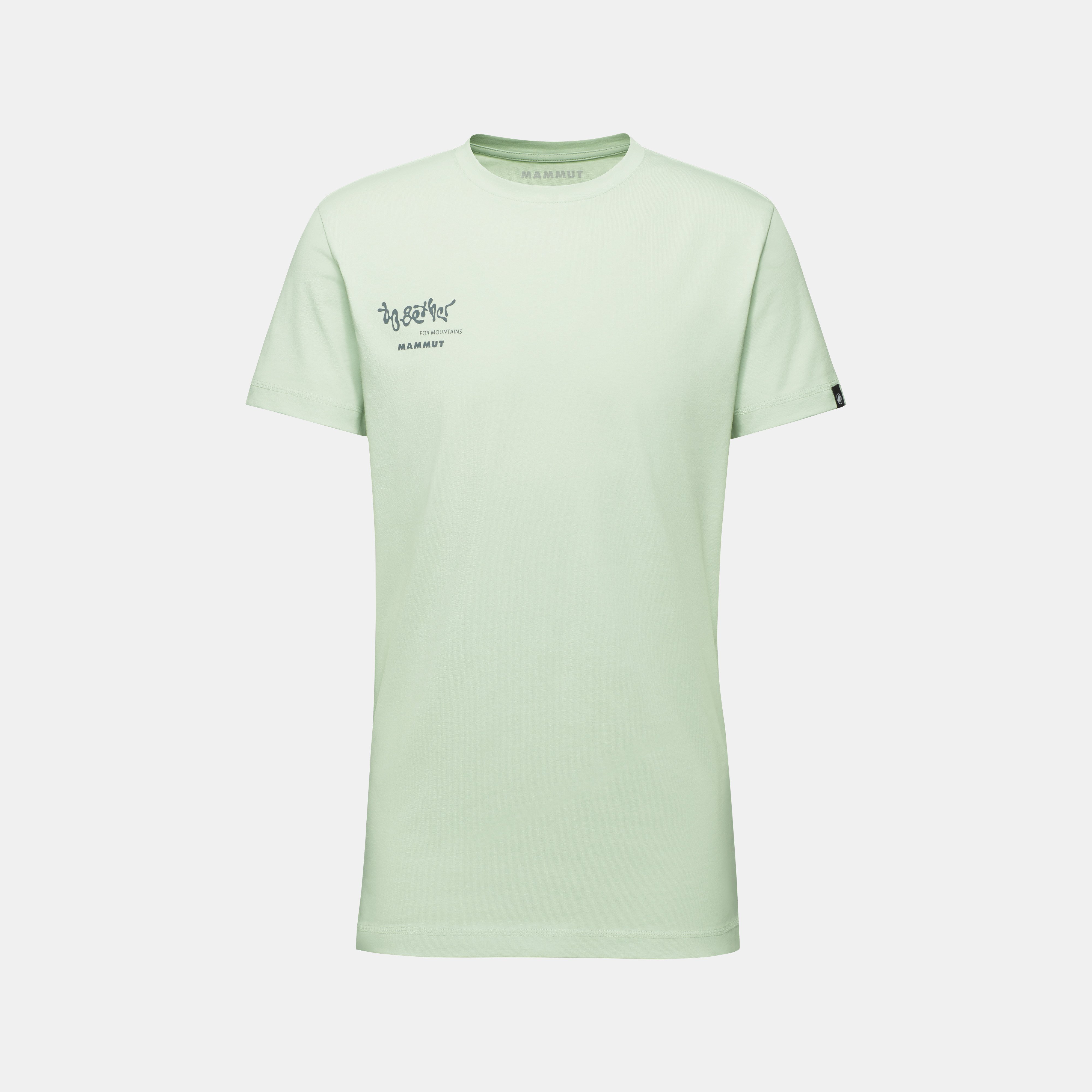 Mammut Massone T-Shirt Men Together, silver sage - Silver sage