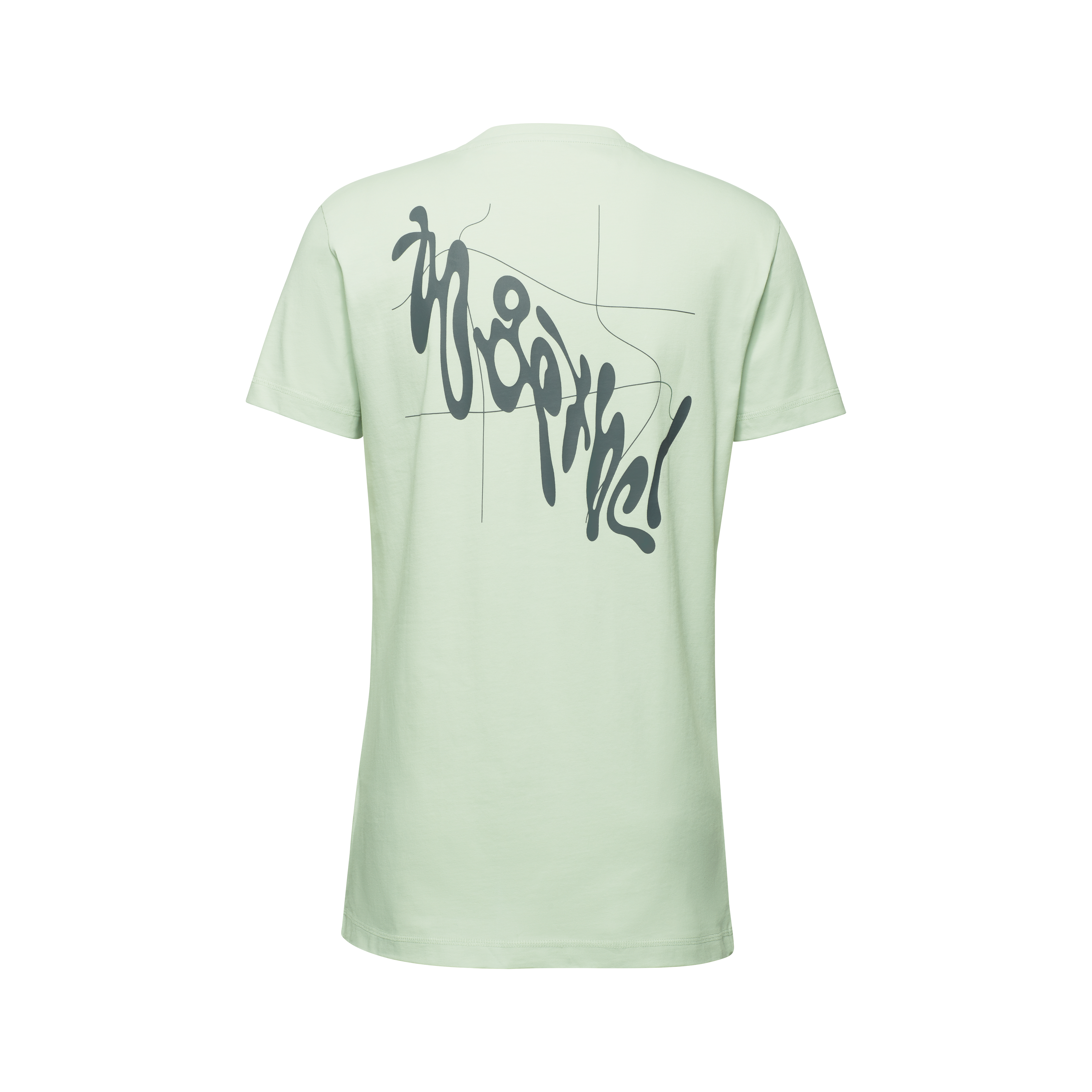 Mammut Massone T-Shirt Men Together, silver sage - Silver sage