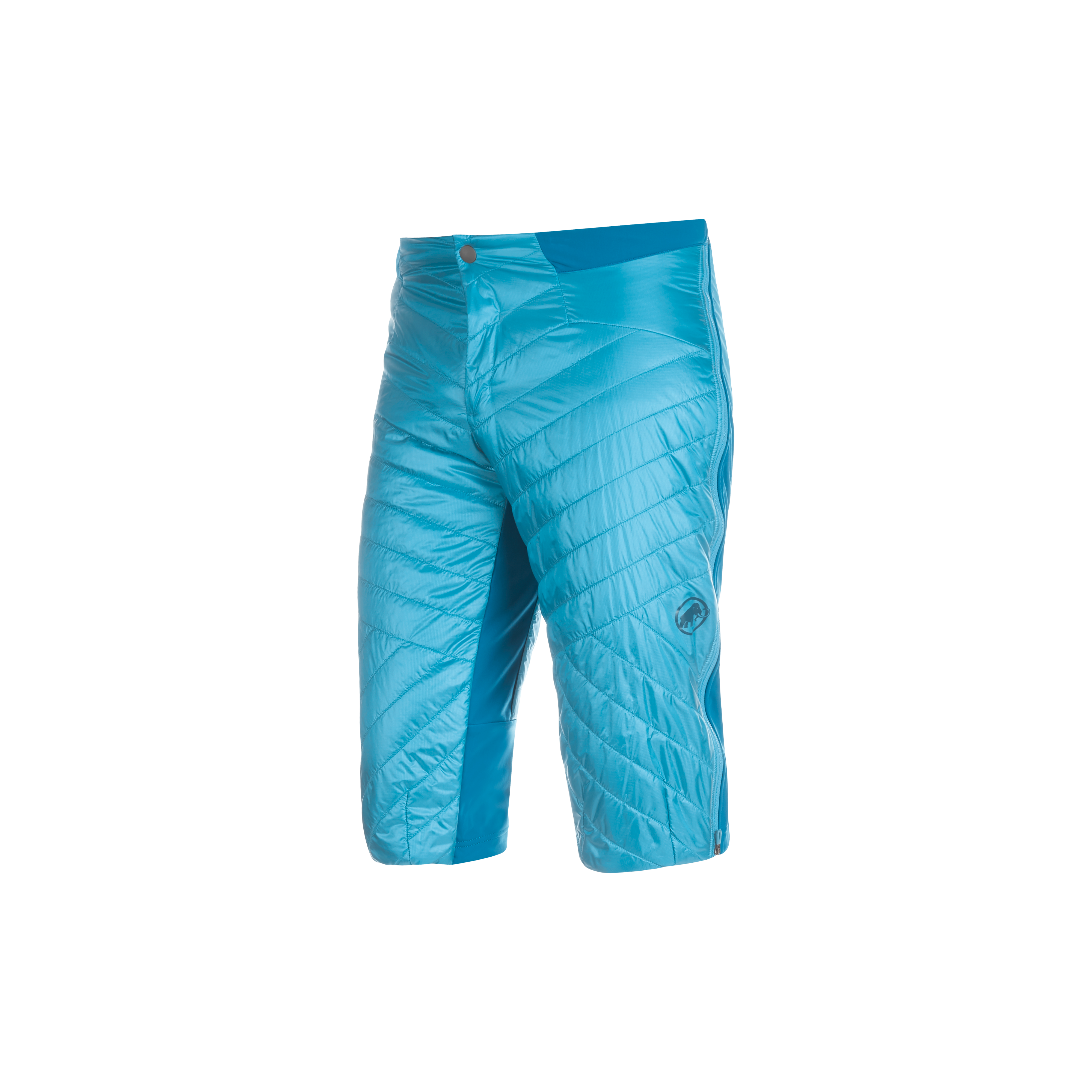Mammut Aenergy IN Shorts Men - Black/Blazing/Ice/Woods/Highlime-marine/Sapphire/Wing teal/Ice-marine