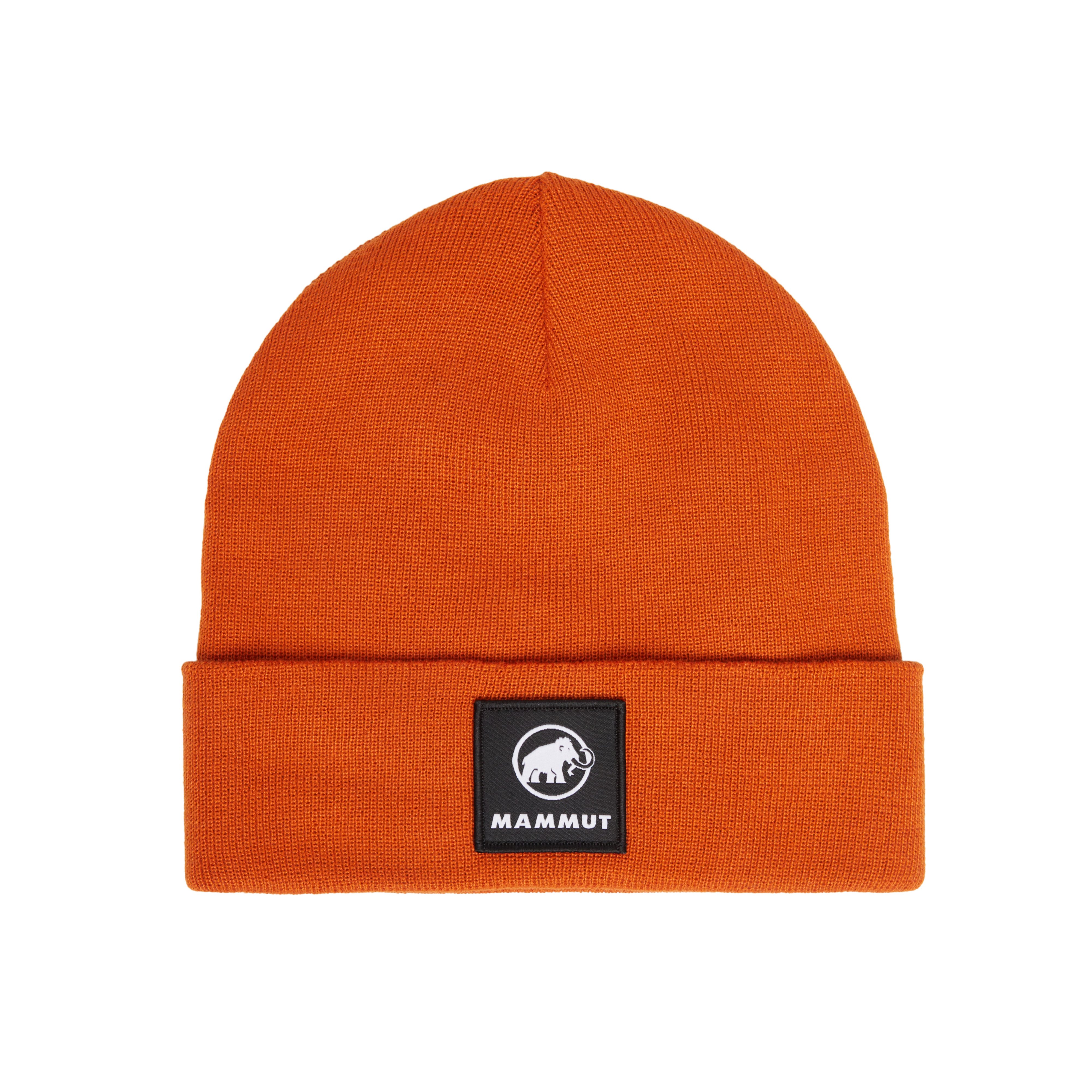 Mammut Fedoz Beanie - Black/Sulai/Acacia/Mammut red/Marine/Lavandin/ paloja/Autumn larice/Muntan/Seln/Glatsch/Lag/Dark marsh/Pinea/Nebla/Tschiel - Thumbnail