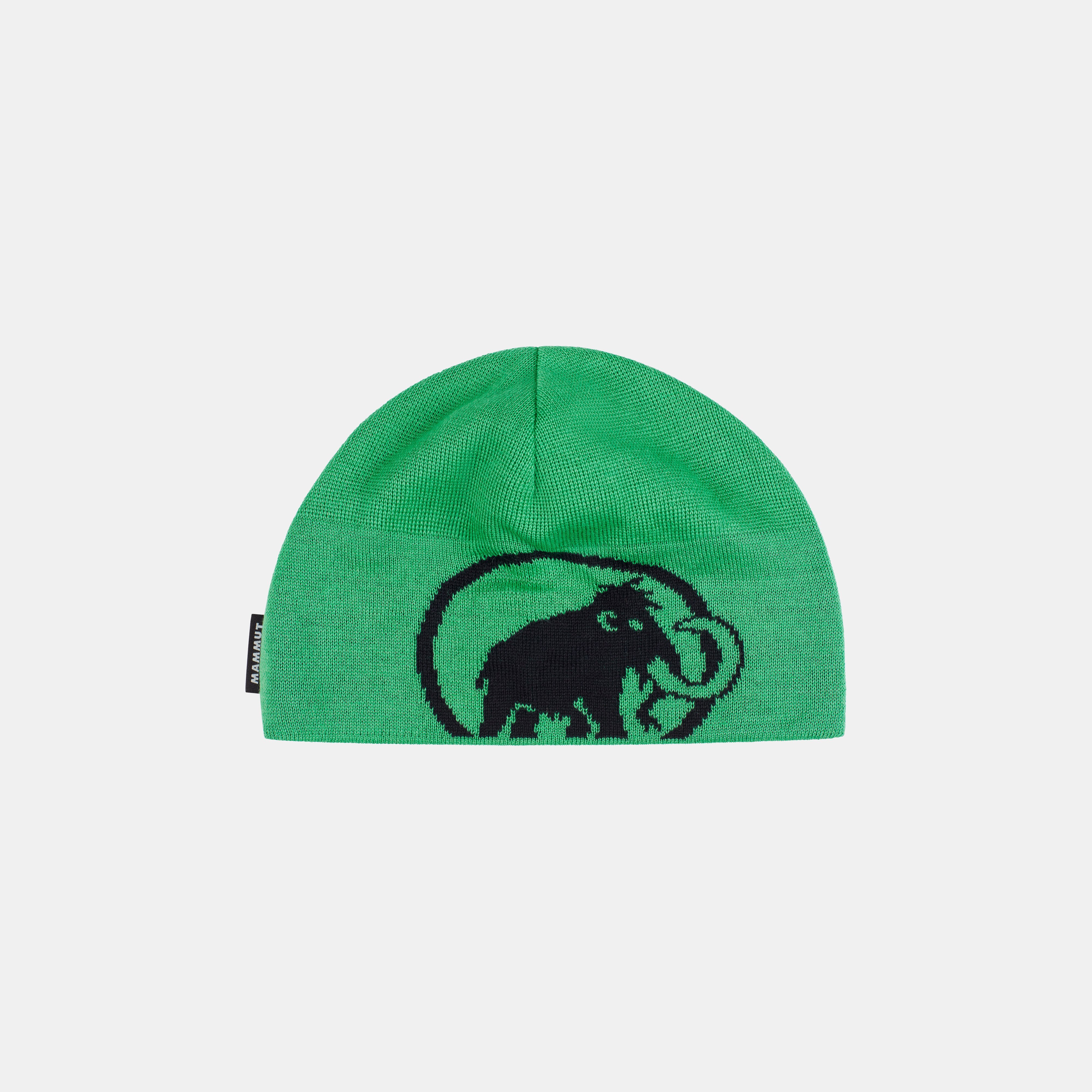 Mammut Tweak Beanie, pinea-black - Pinea-black