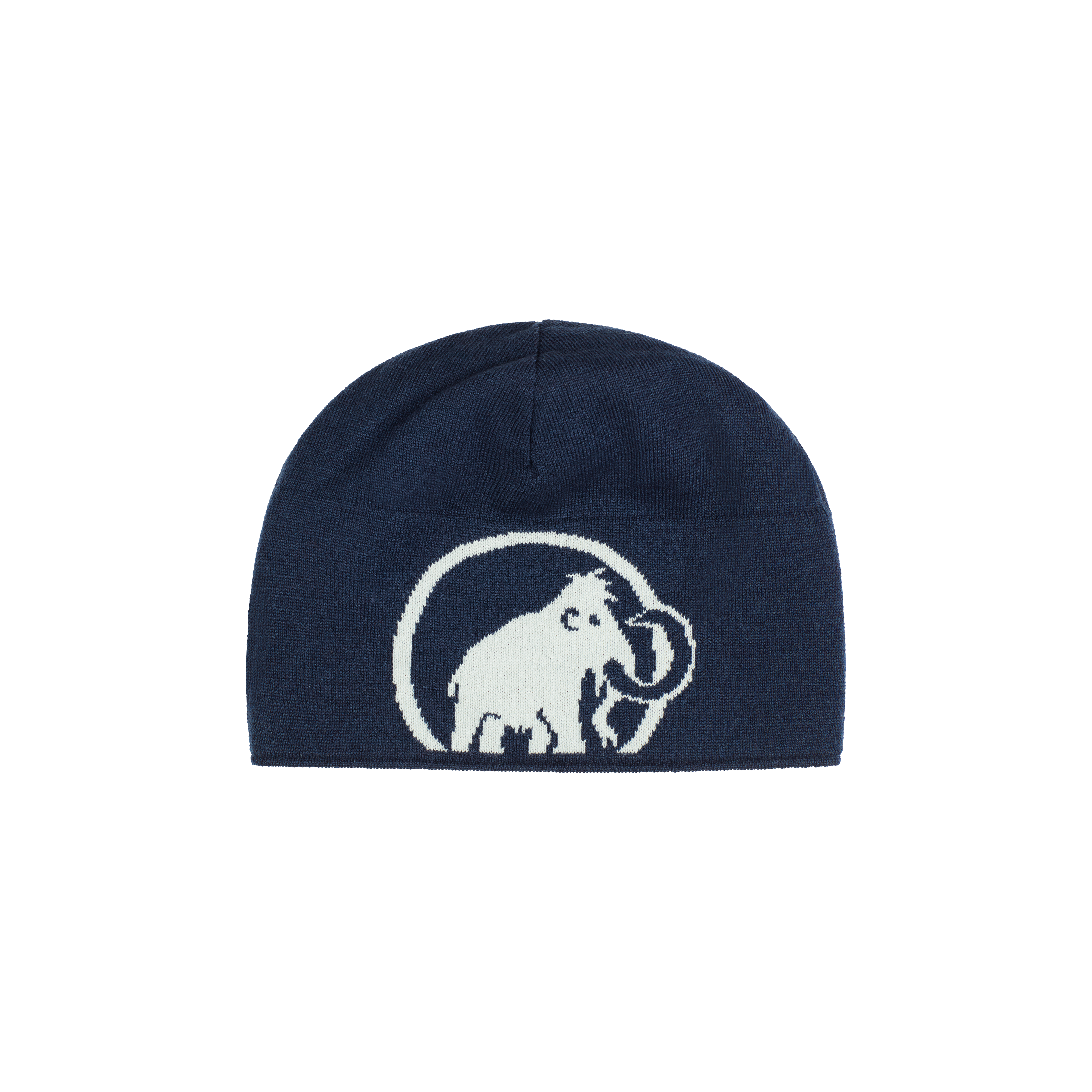 Mammut Mammut Logo Beanie, silver sage-marine - Silver sage-marine