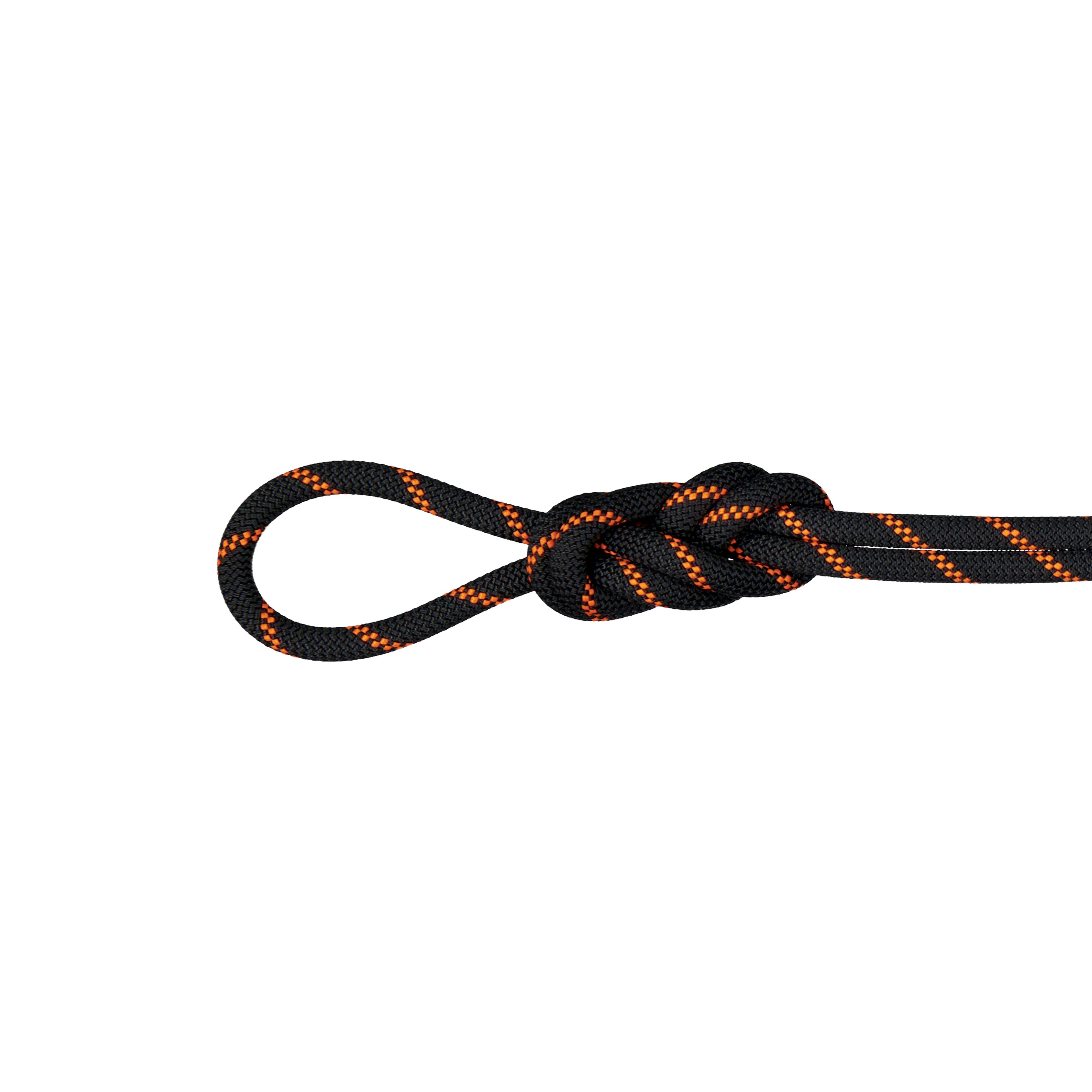 8.7 Alpine Sender Dry Rope - Dry Standard, black-safety orange, 30 m thumbnail
