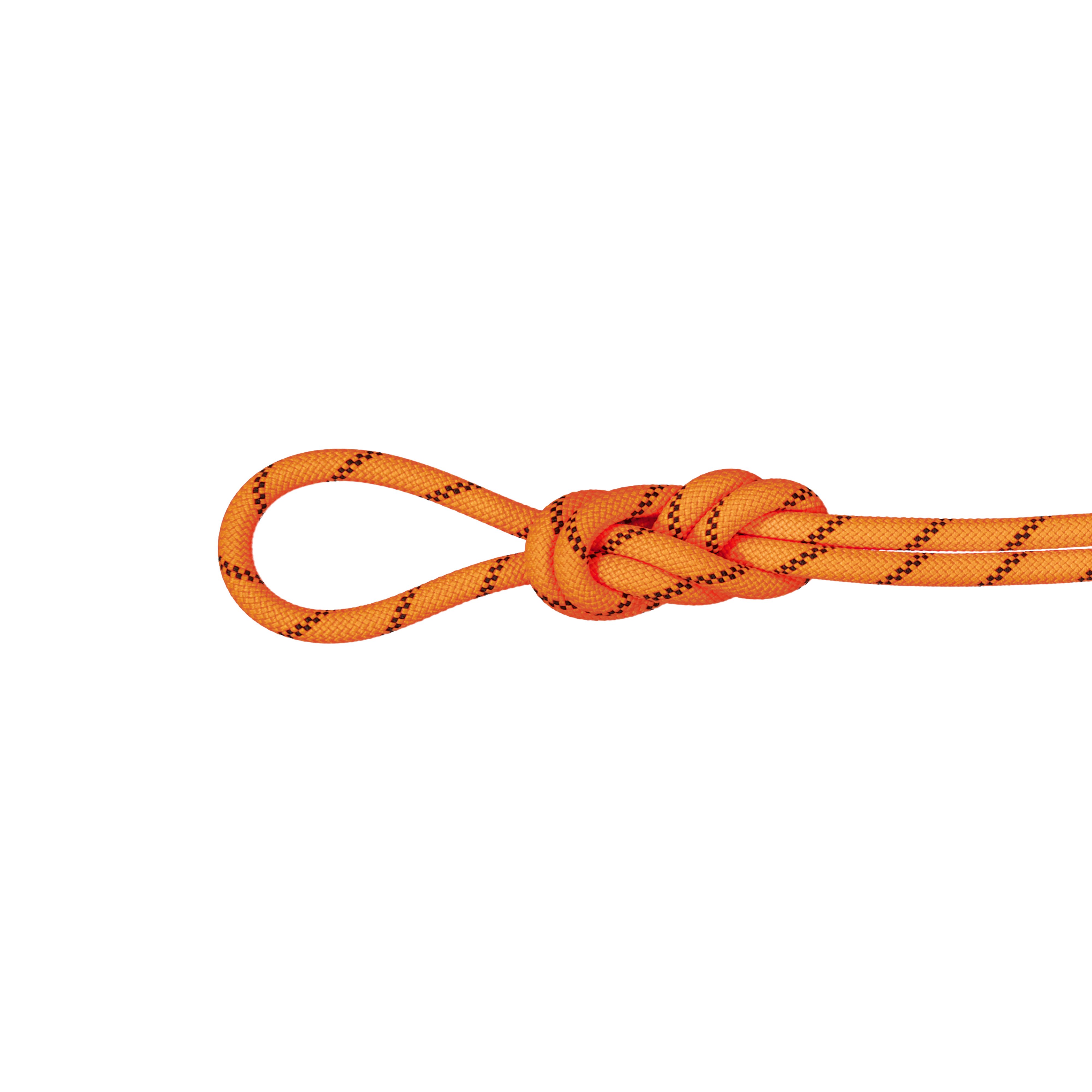 8.7 Alpine Sender Dry Rope - Dry Standard, safety orange-black, 30 m thumbnail