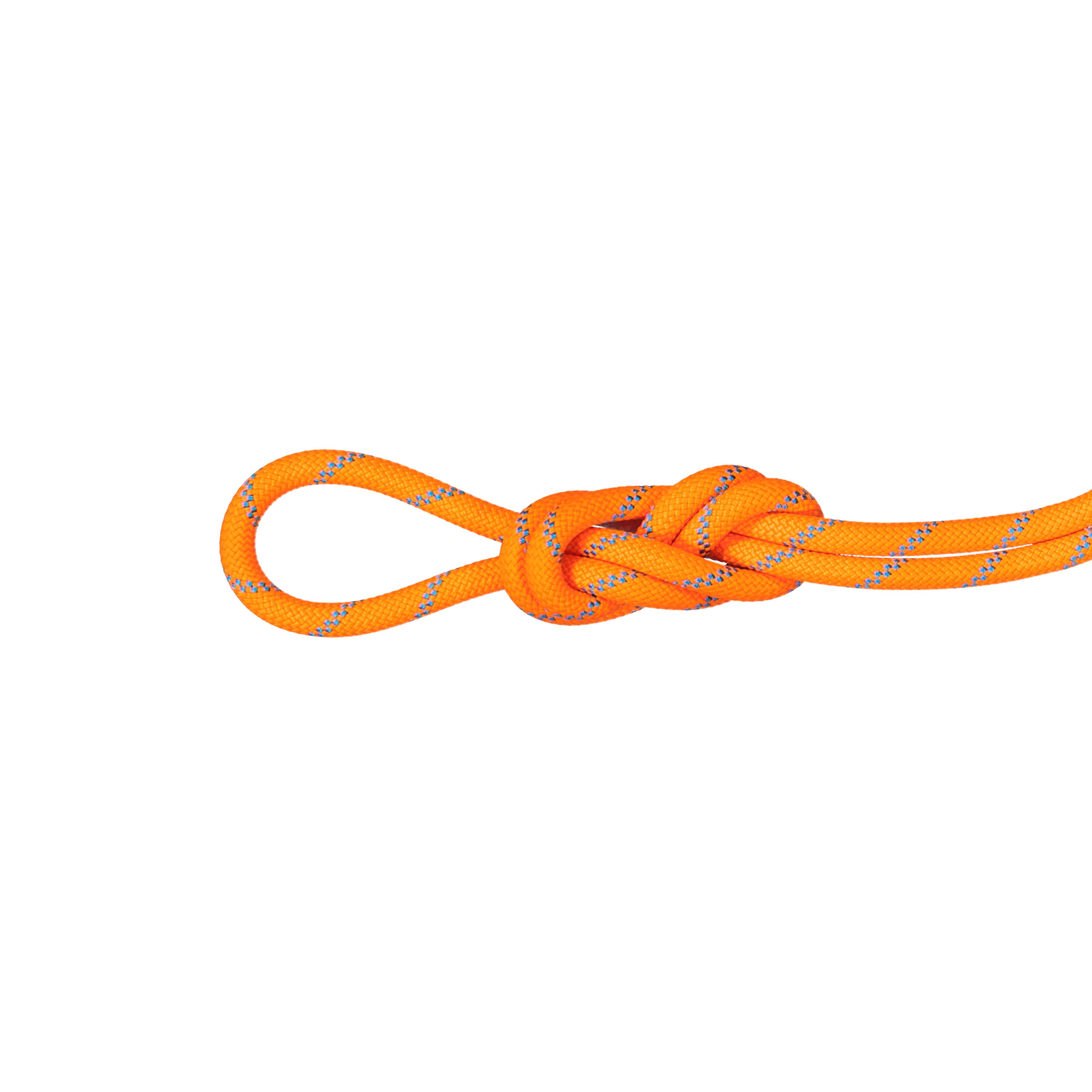 8.7 Alpine Sender Dry Rope - Dry Standard, vibrant orange-ocean, 30 m thumbnail