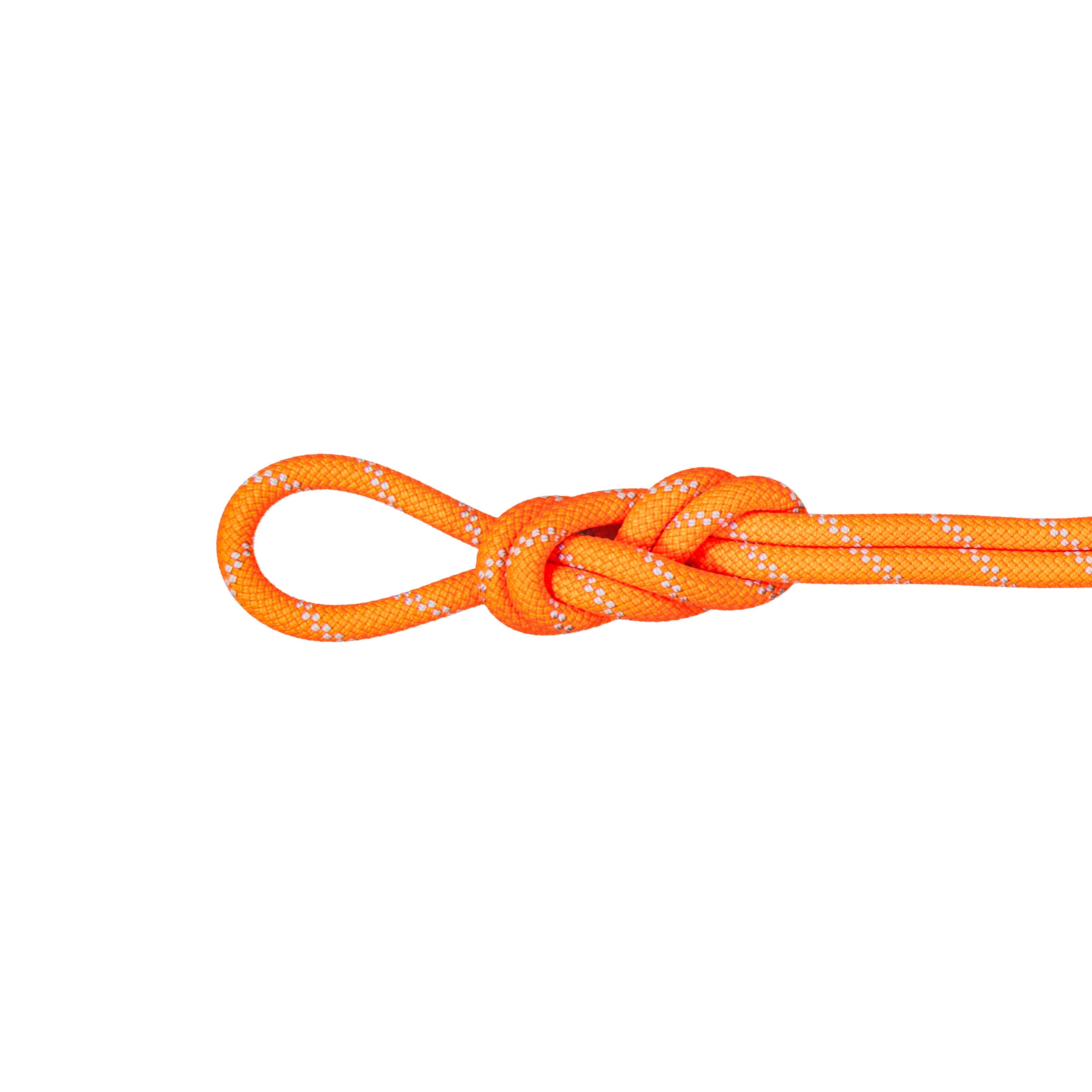 9.5 Alpine Dry Rope - Dry Standard, safety orange-zen, 50 m thumbnail