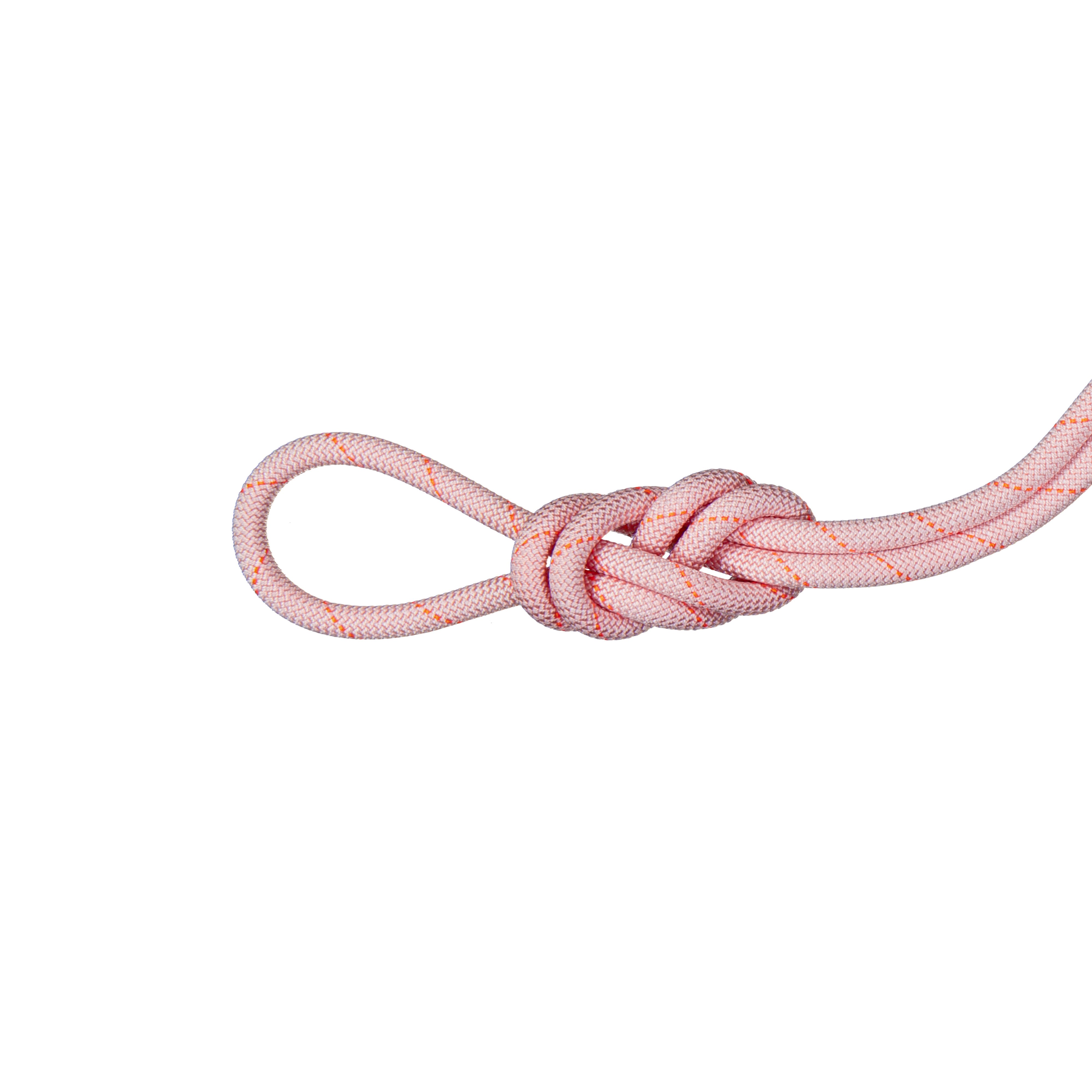 9.9 Gym Workhorse Classic Rope - Classic Standard, candy, 30 m thumbnail