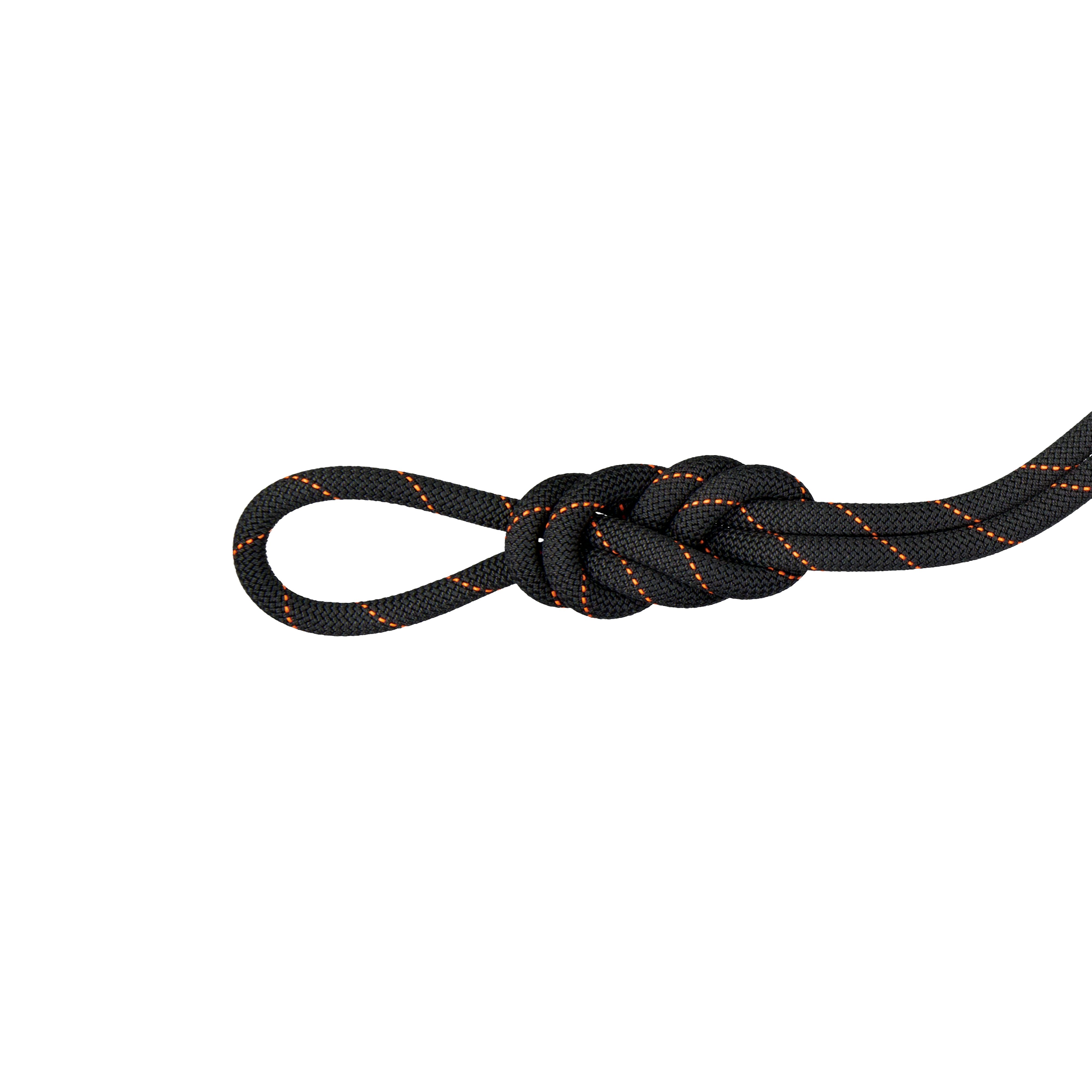 9.9 Gym Workhorse Dry Rope - Dry Standard, black, 30 m thumbnail