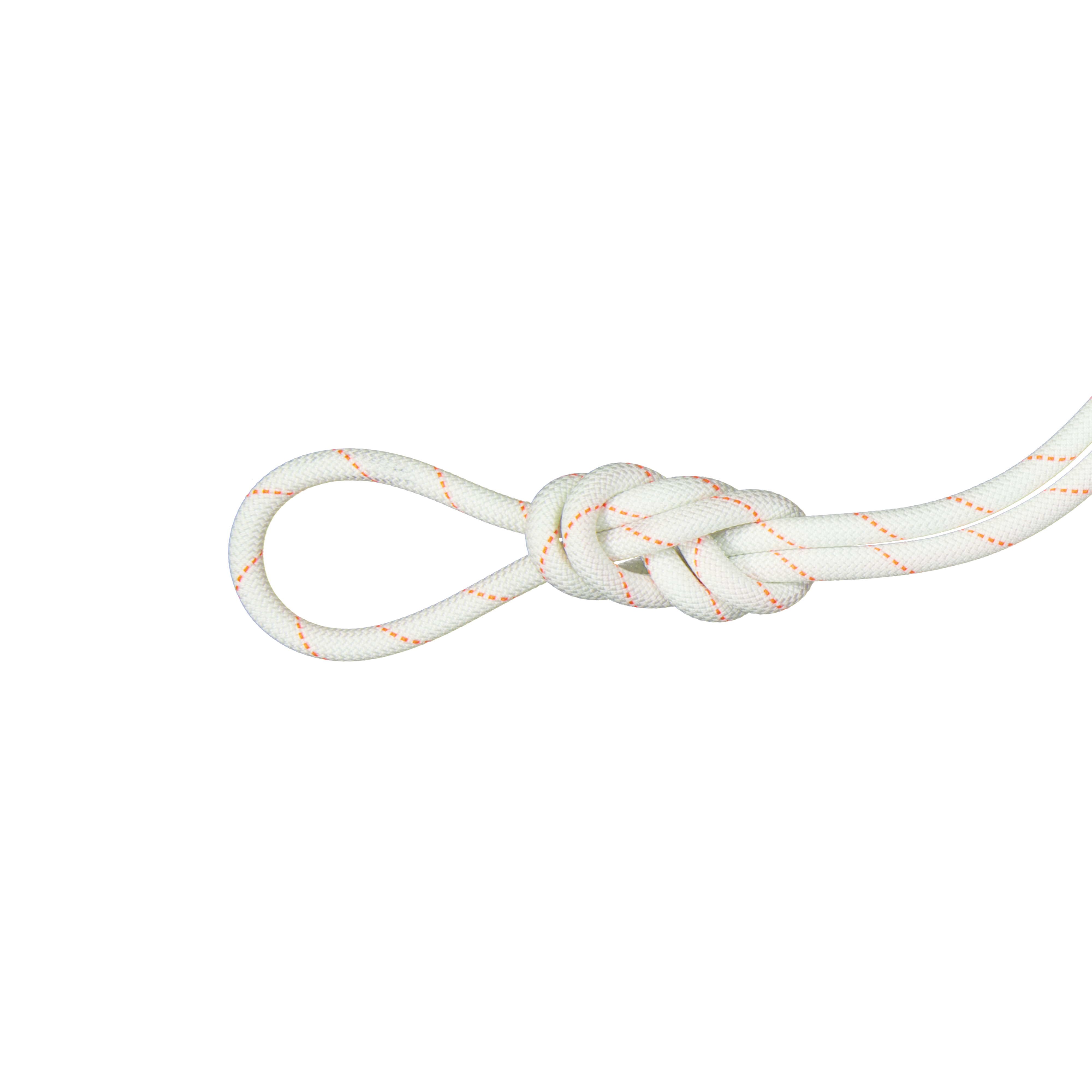 9.9 Gym Workhorse Dry Rope, Dry Standard, white thumbnail