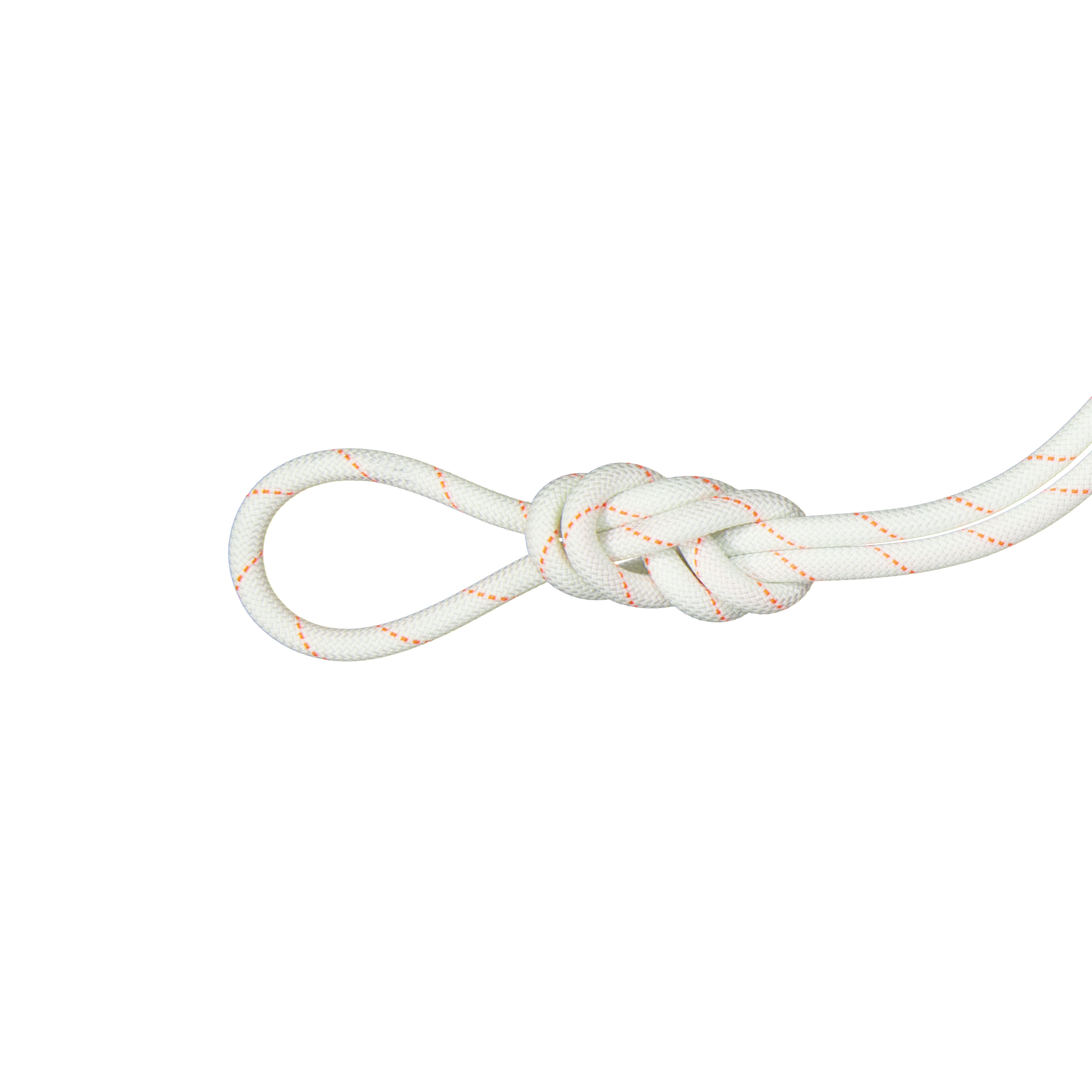 9.9 Gym Workhorse Dry Rope - Dry Standard, white, 40 m thumbnail