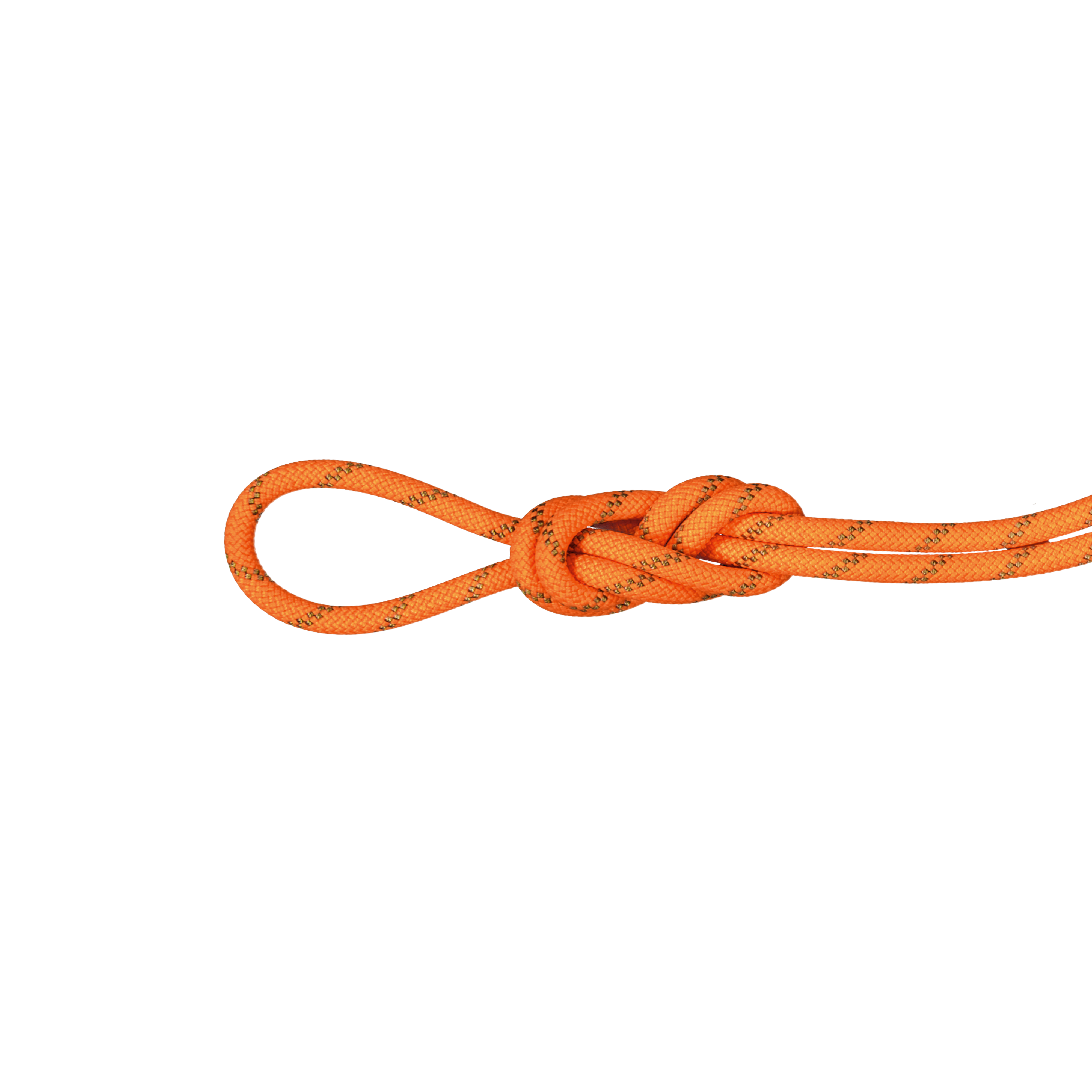 8.0 Alpine Dry Rope, Dry Standard, safety orange-boa thumbnail