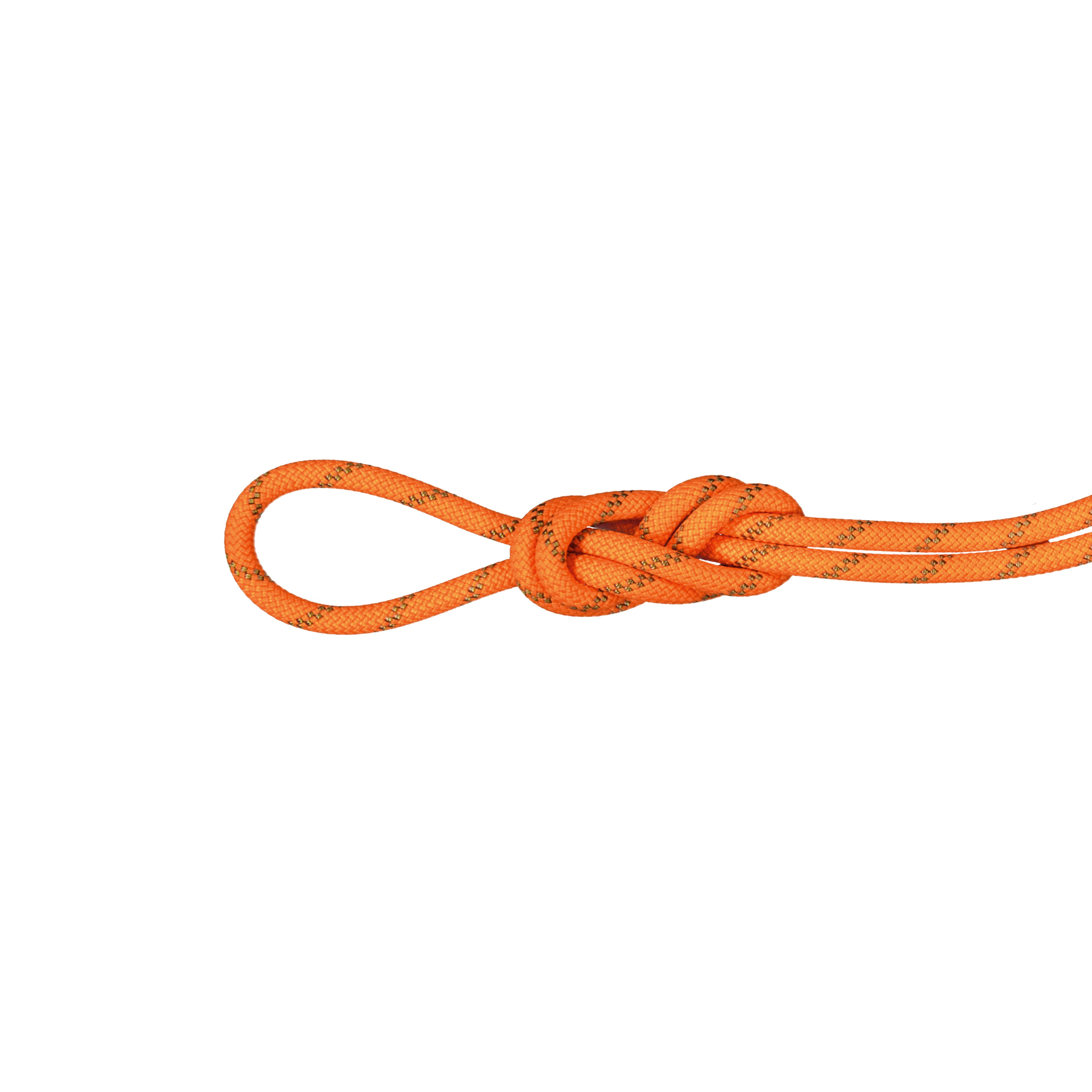 8.0 Alpine Dry Rope - Dry Standard, safety orange-boa, 70 m thumbnail