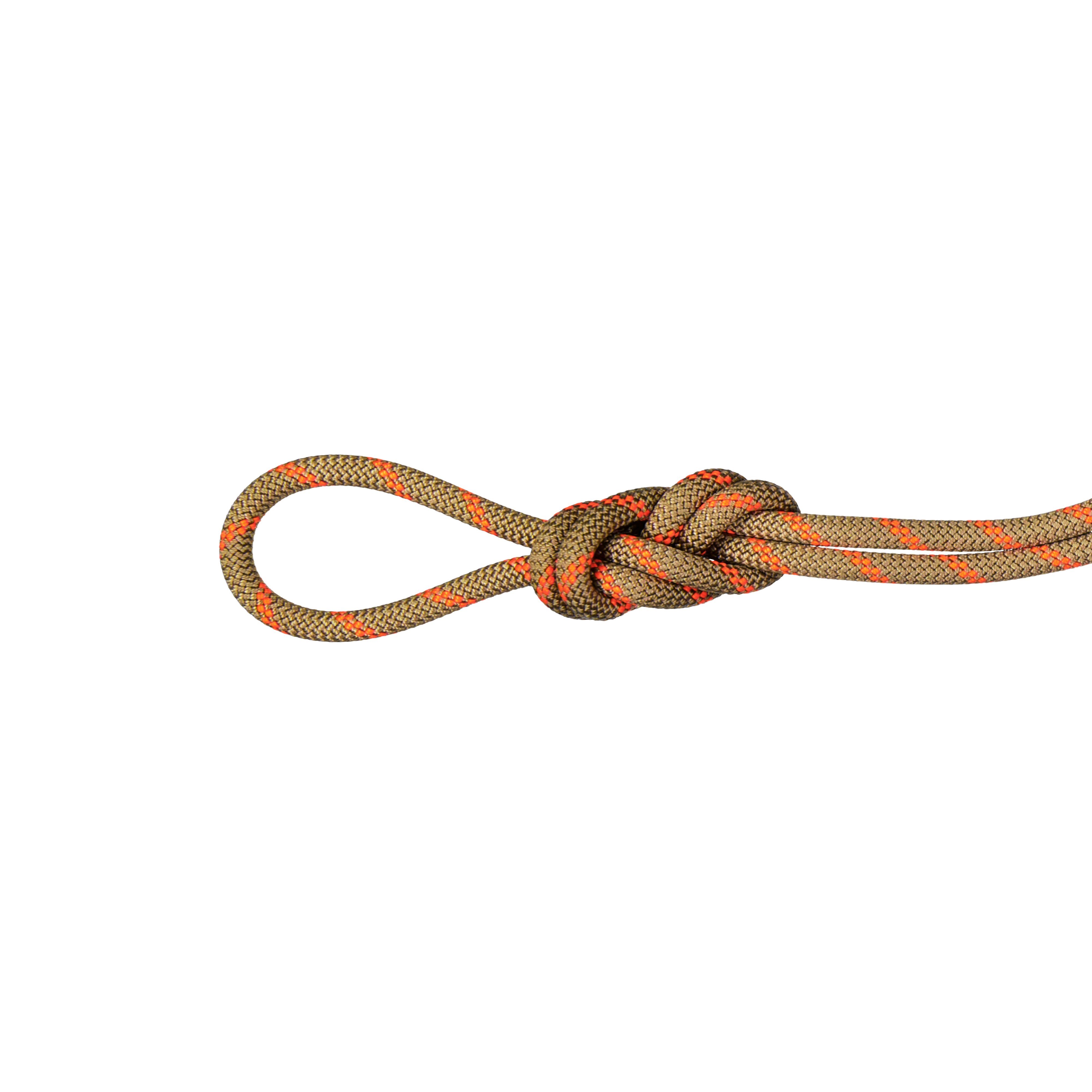 8.0 Alpine Dry Rope - Dry Standard, boa-safety orange, 50 m thumbnail
